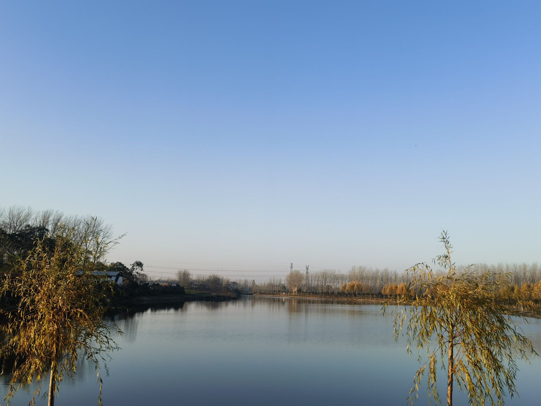 龙西湖湿地公园旅行图片 3