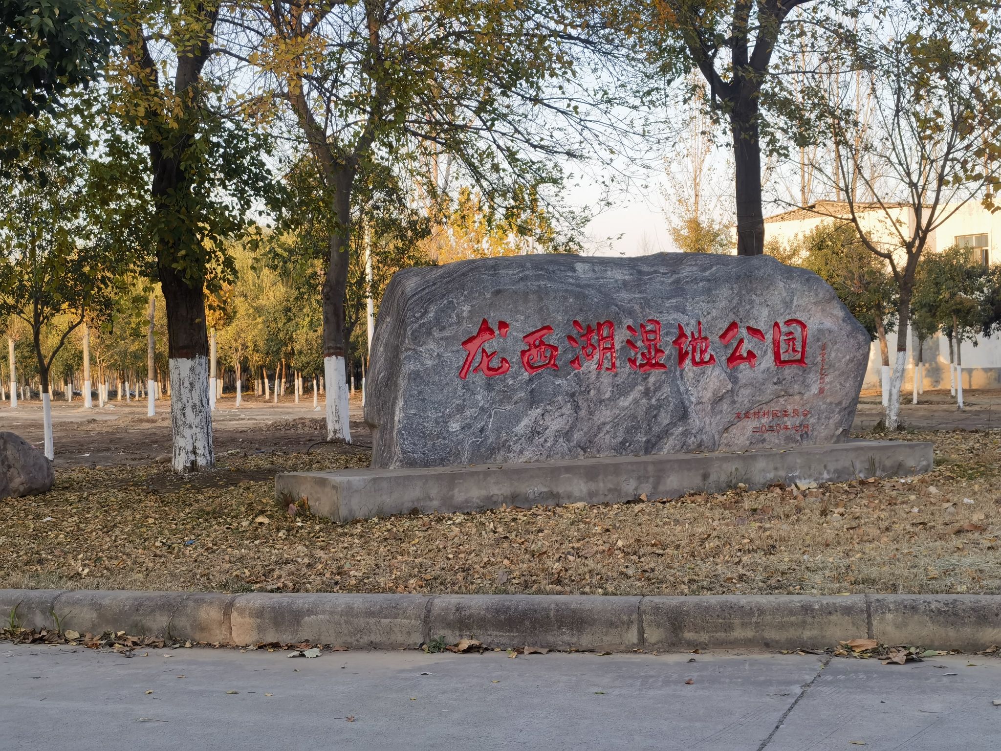 龙西湖湿地公园旅行图片 1