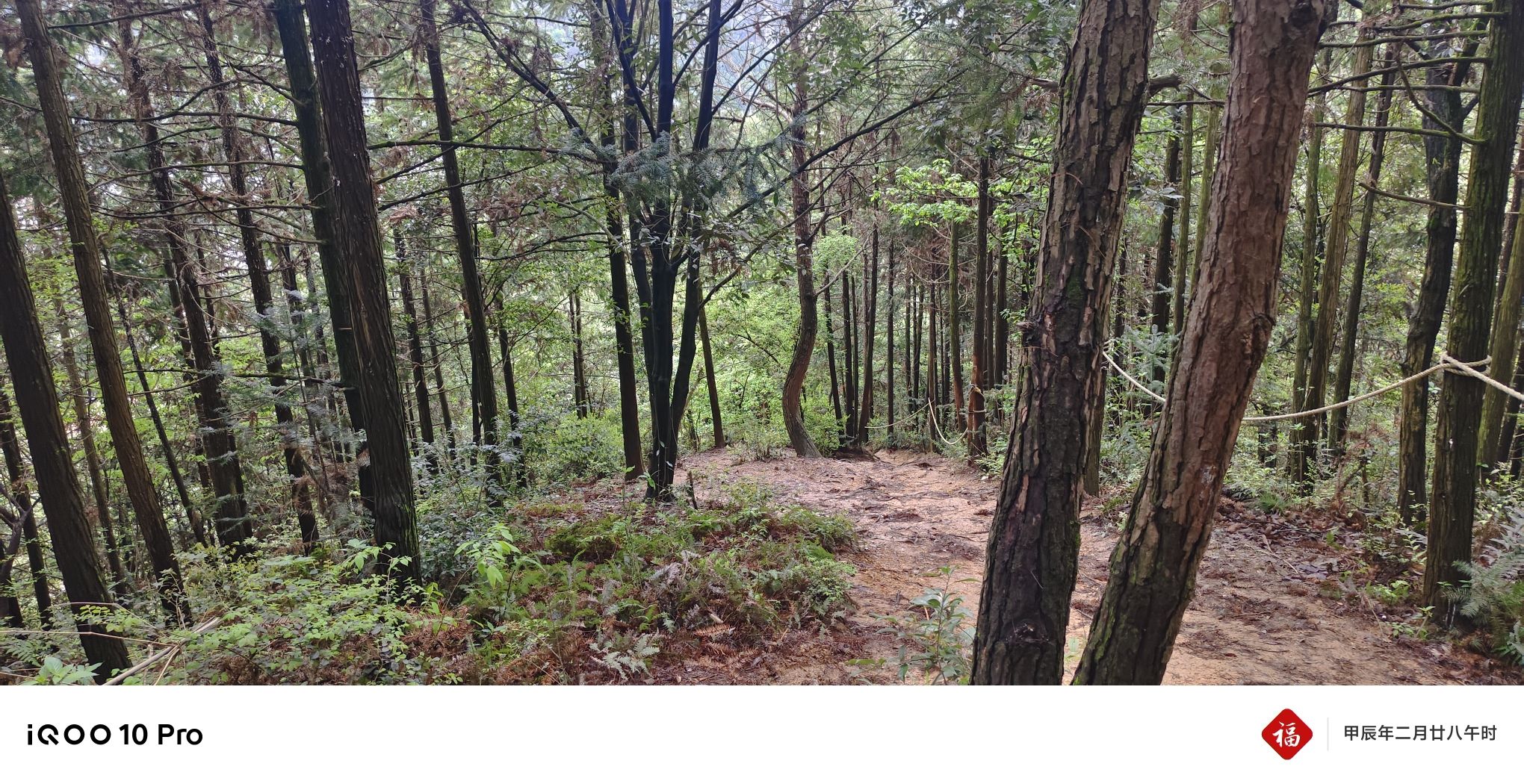 湖田村登山步道旅行图片 2