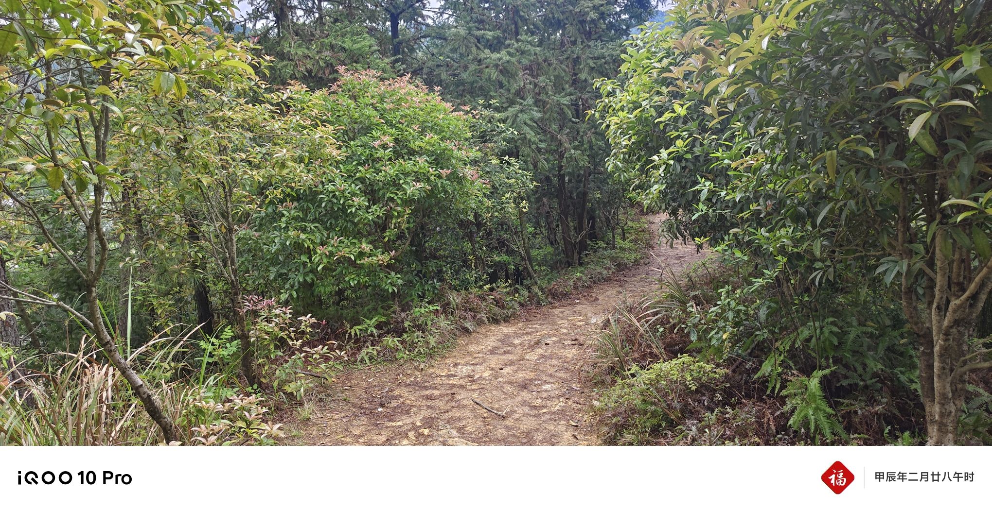 湖田村登山步道旅行图片 1