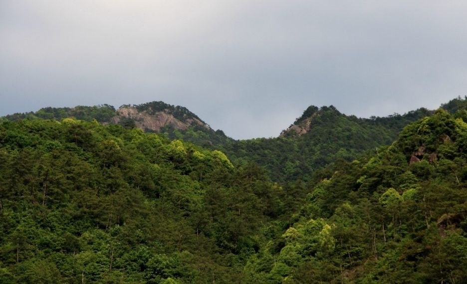 湖田村登山步道旅行图片 3