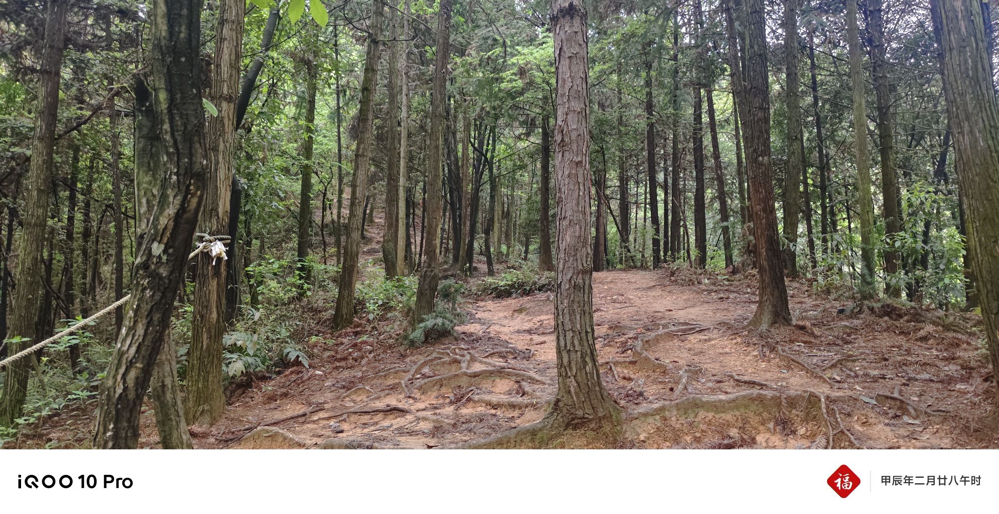 湖田村登山步道旅行图片 3