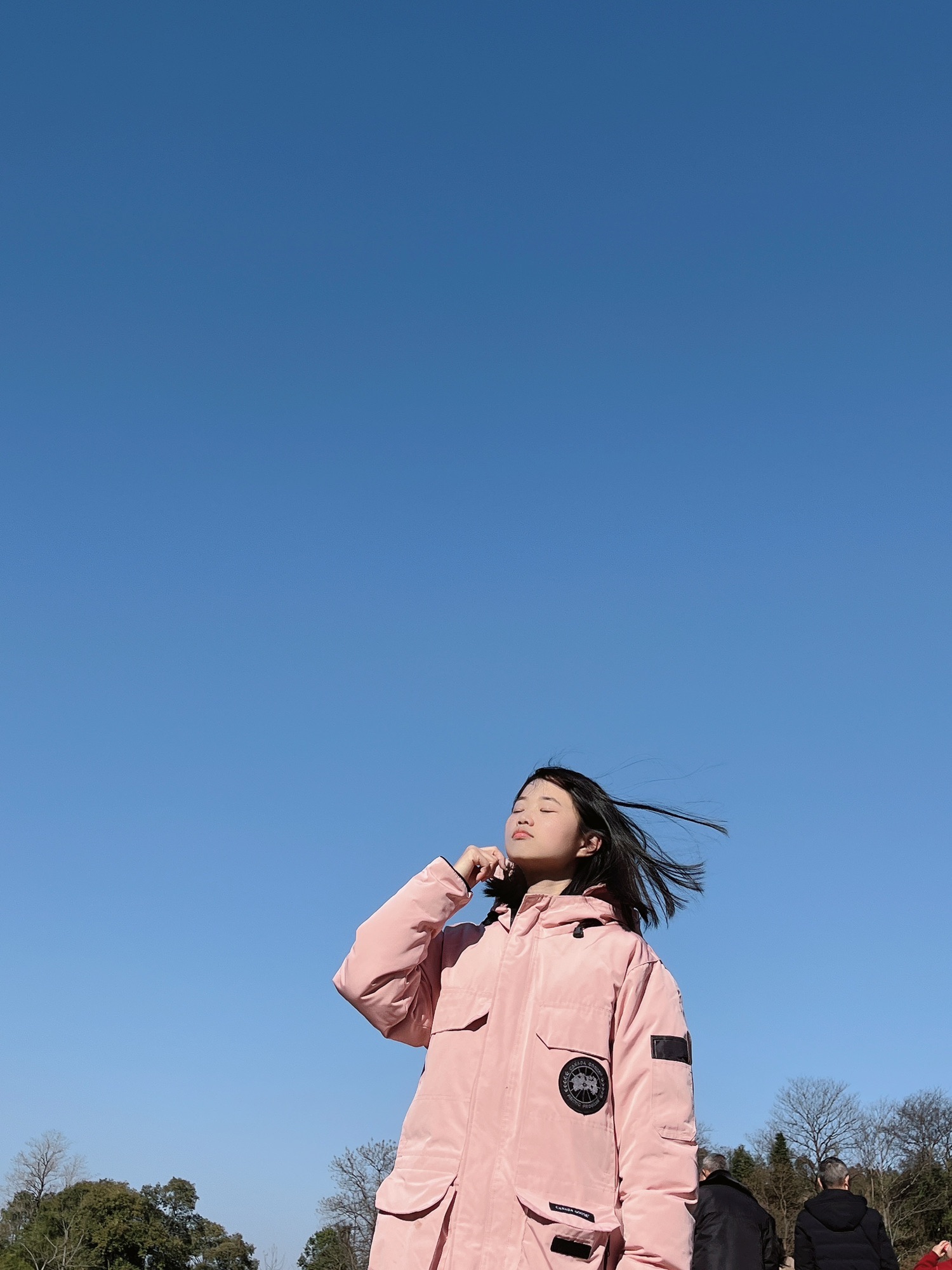 龙源口大捷桥旅行图片 3