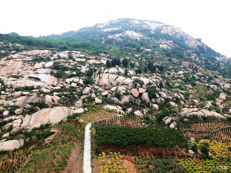 峄山镇牙山石榴园旅行图片 3