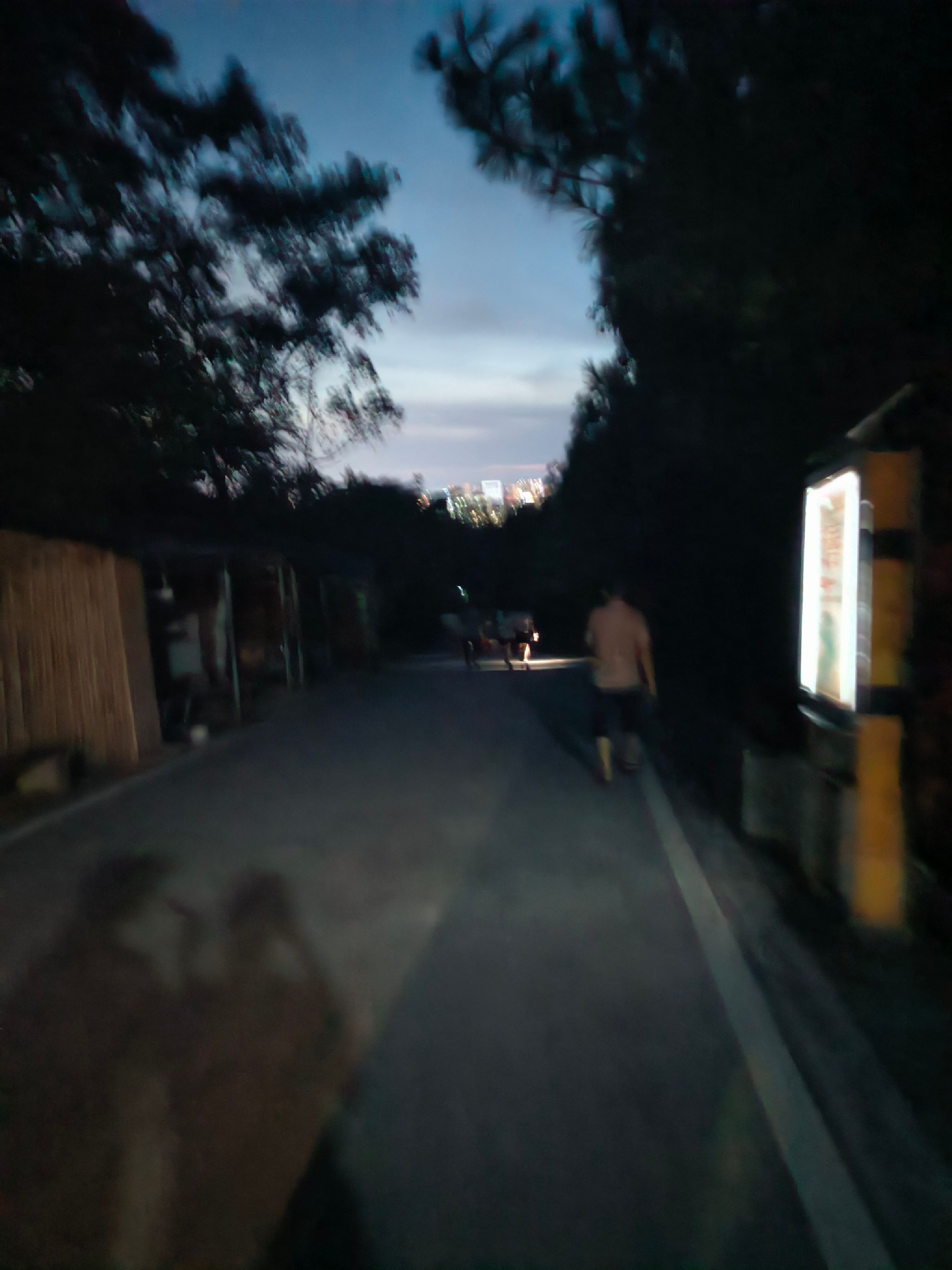 赣州市章贡区杨仙岭登山步道旅行图片 1