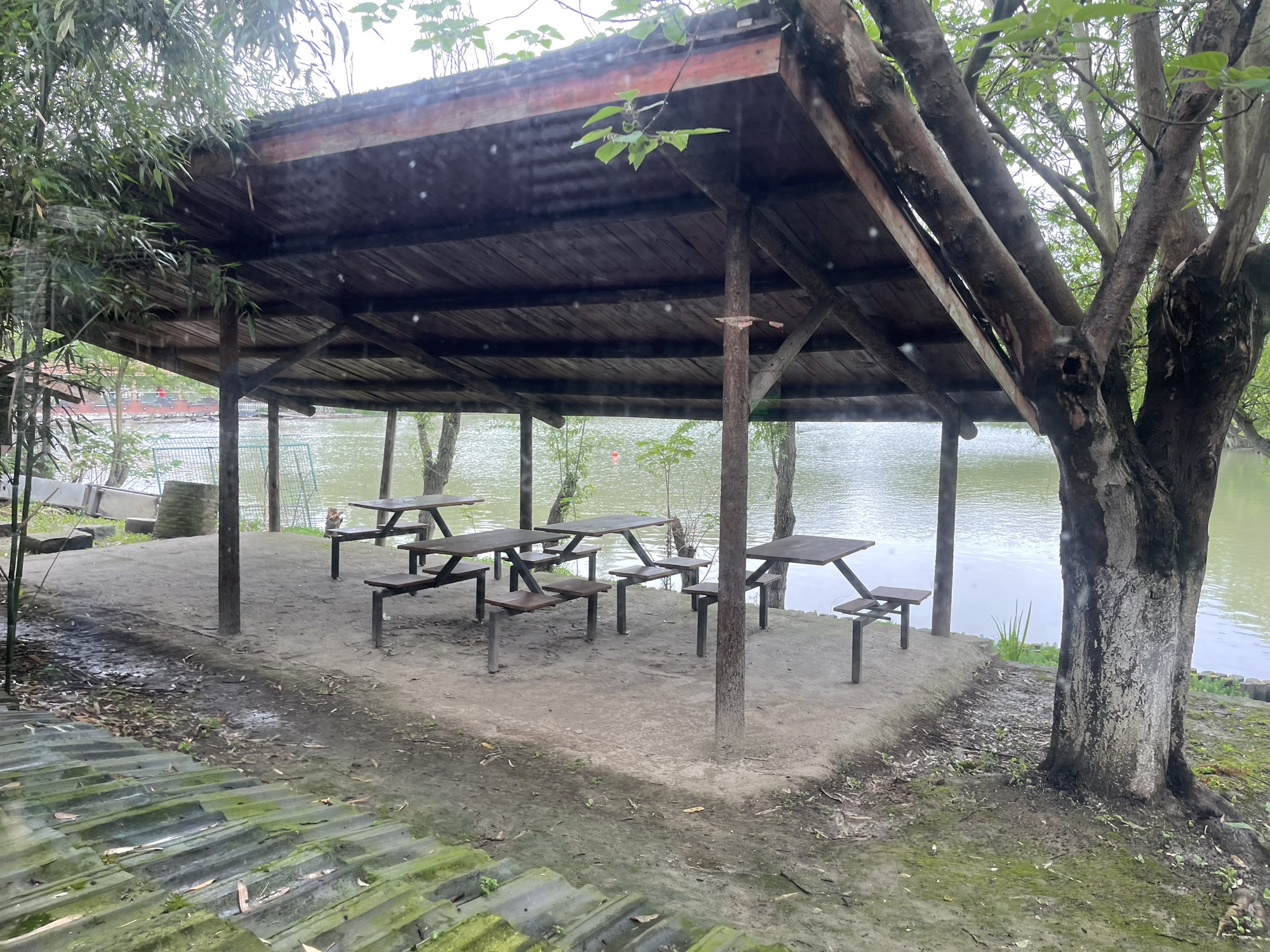 大千天鹅湖旅行图片 3