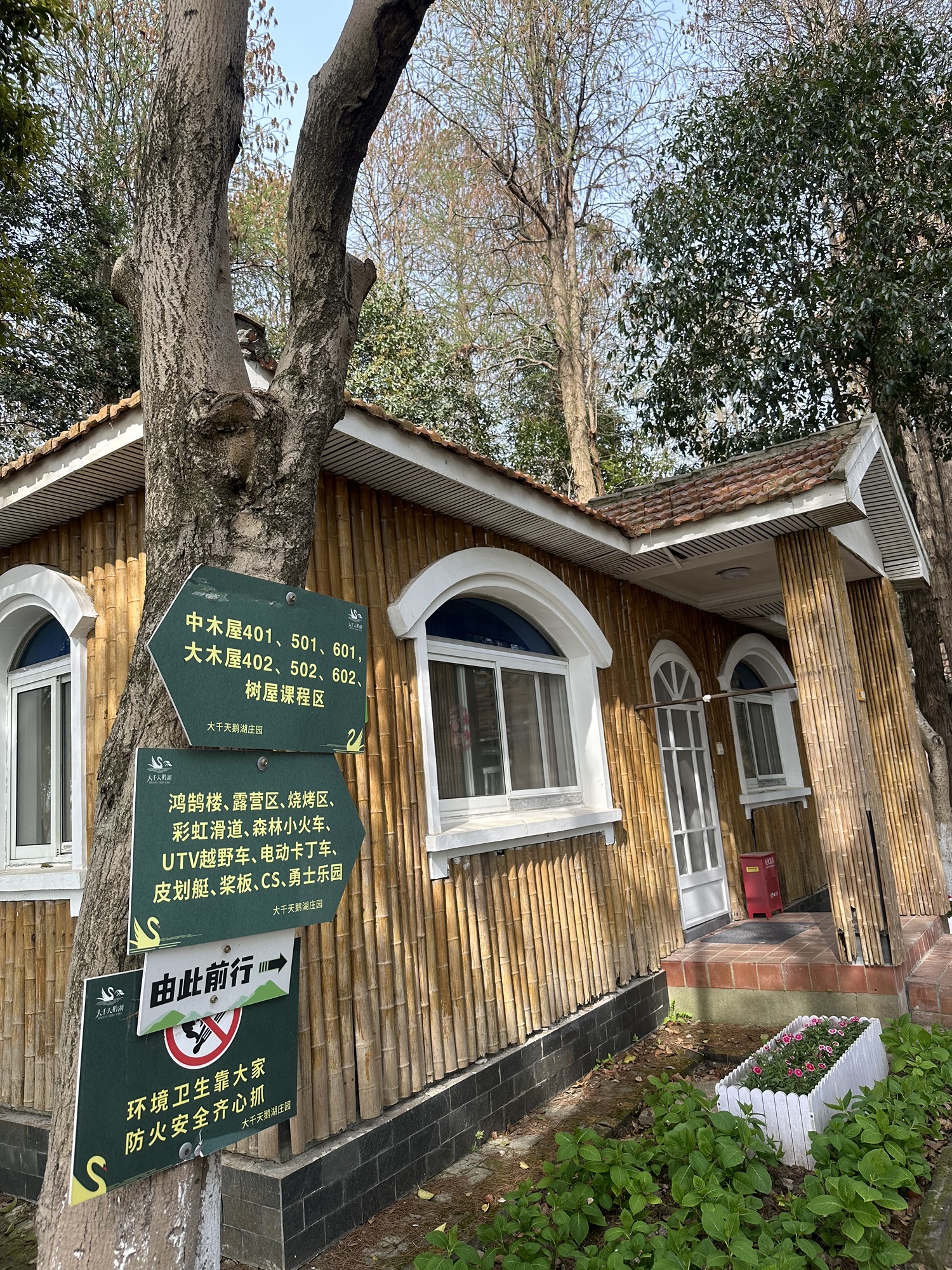 大千天鹅湖旅行图片 1