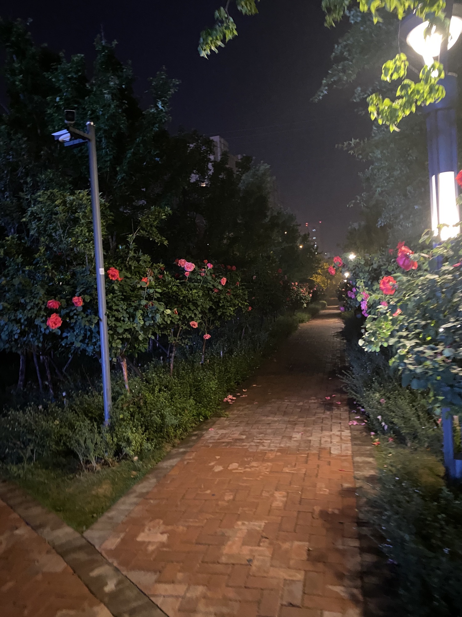 市民中心喷泉(暂停开放)旅行图片 2