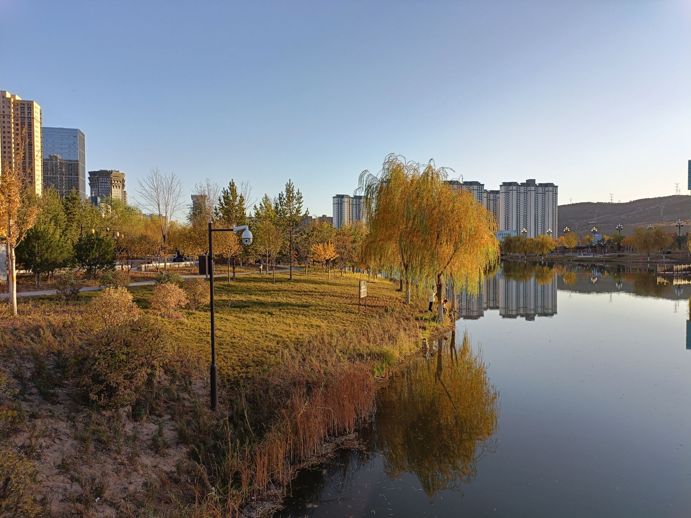 杨业公园