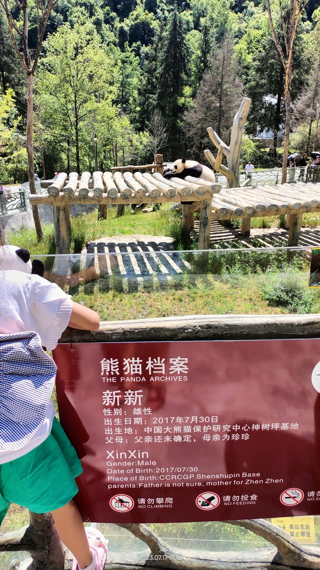 九寨沟甲勿海大熊猫保护研究园旅行图片 1