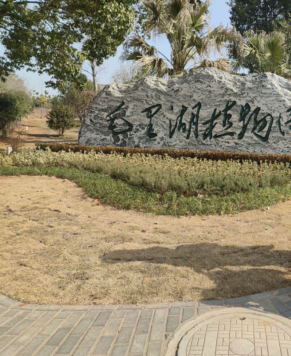 津市毛里湖植物园旅行图片 1