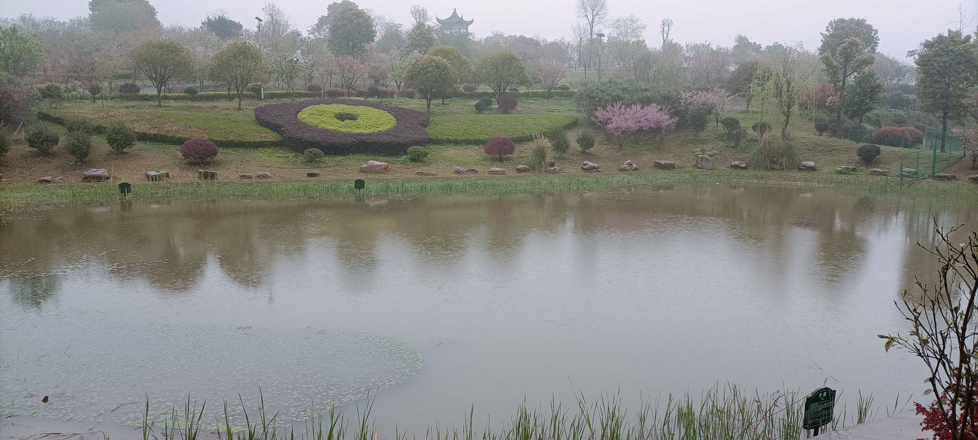 津市毛里湖植物园旅行图片 1