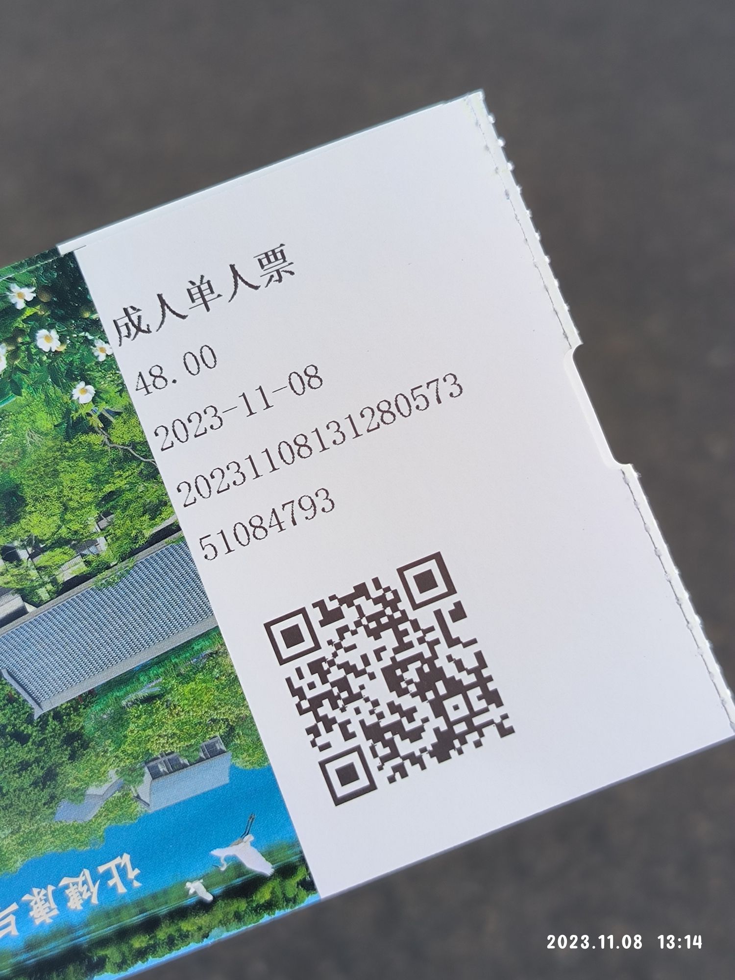 津市毛里湖植物园旅行图片 2
