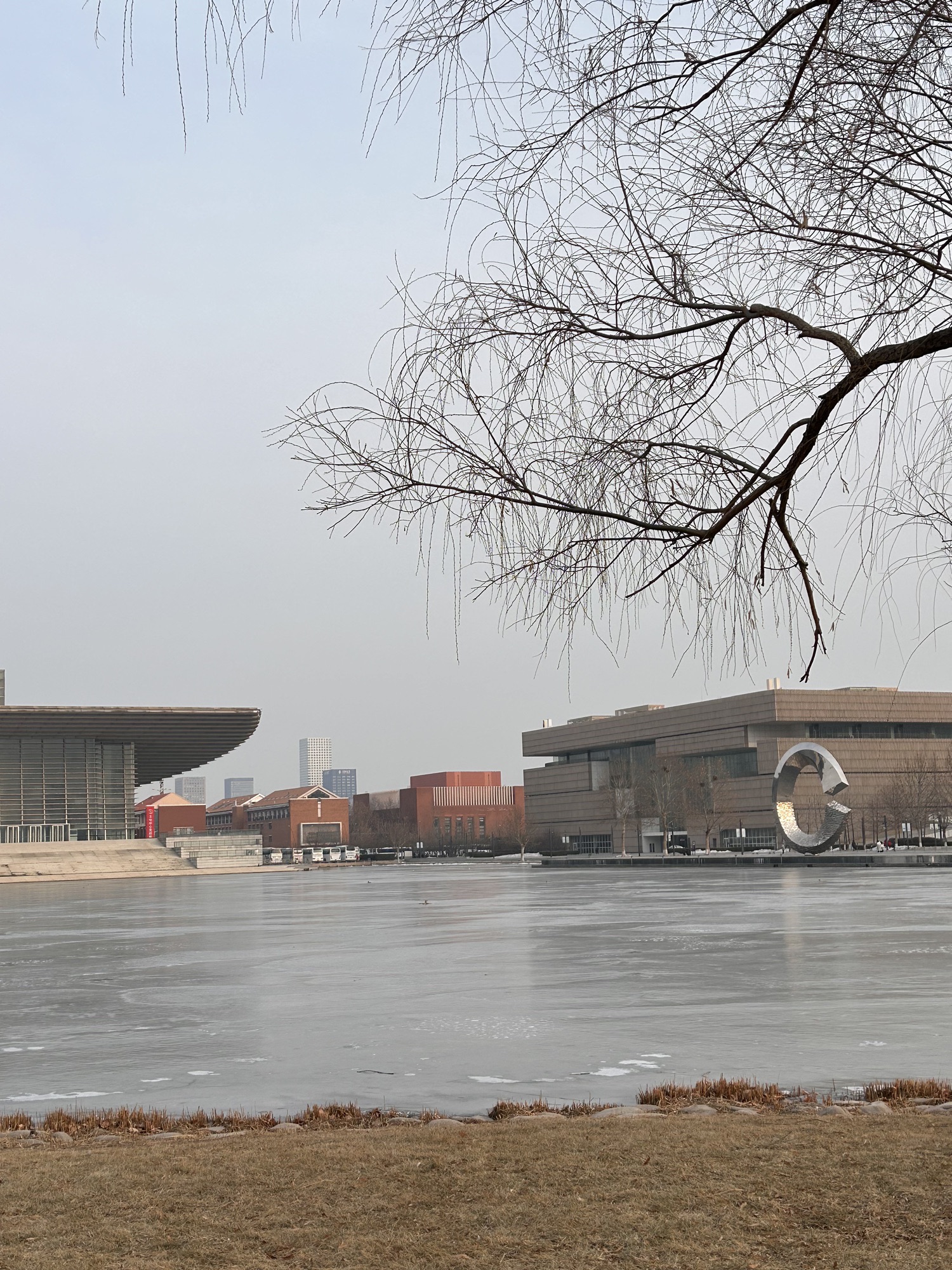 西岸河西区文化广场旅行图片 1