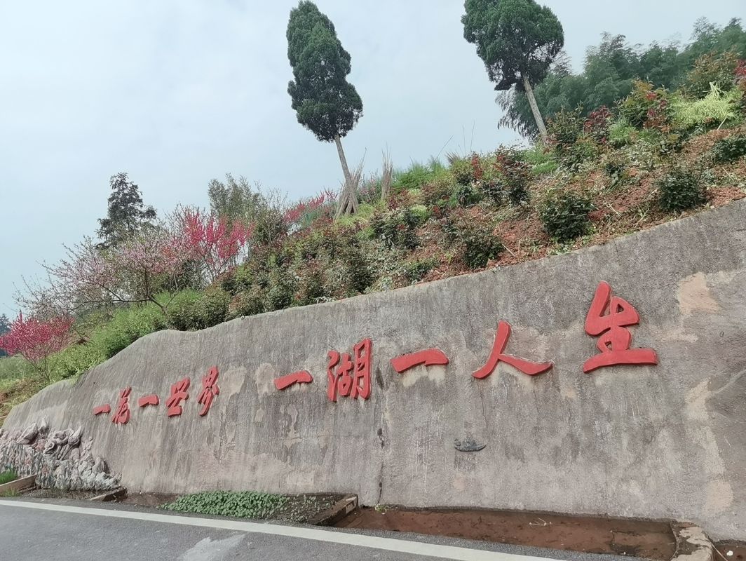 龙湖水香旅行图片 3
