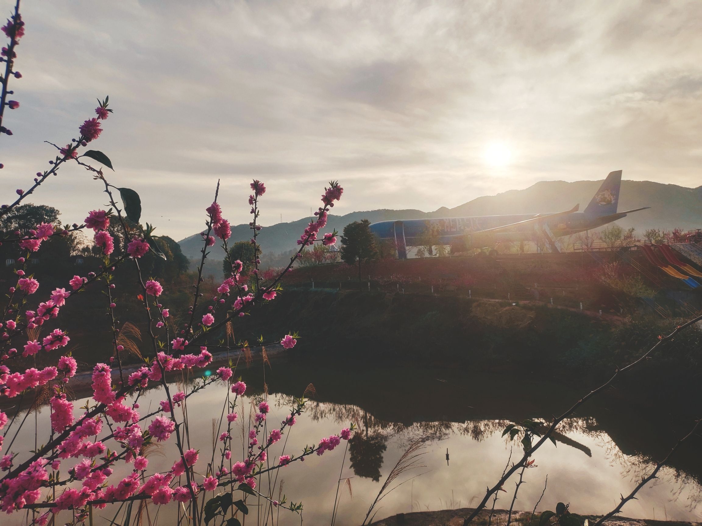 龙湖水香旅行图片 2