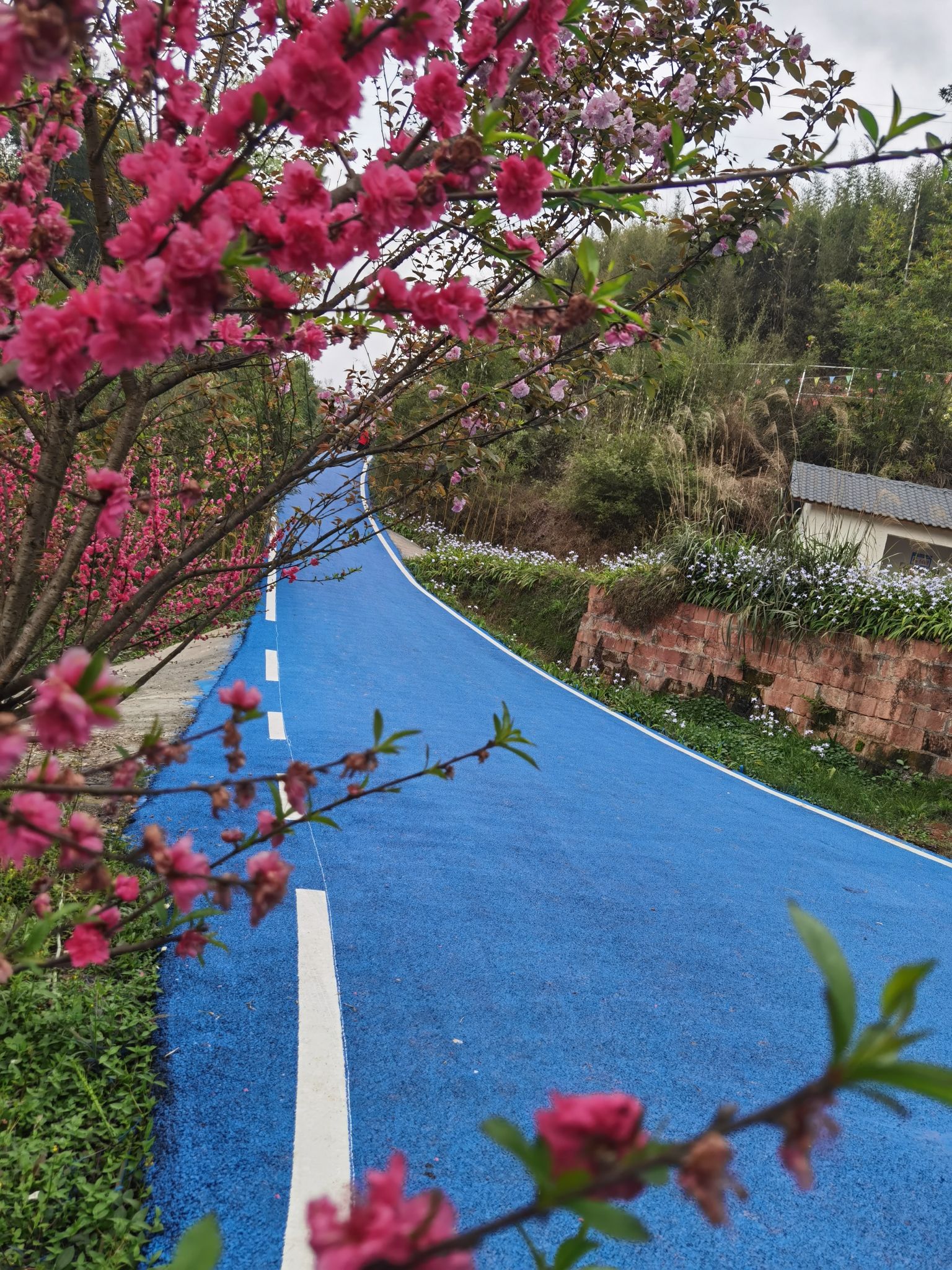 龙湖水香旅行图片 2