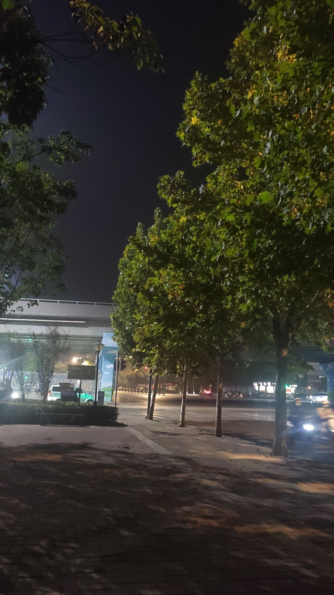 凌波游园旅行图片 1