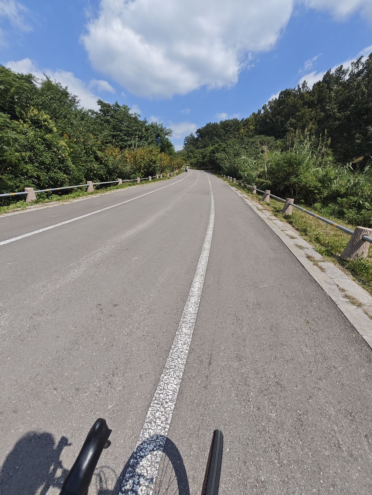 清风亭旅行图片 2