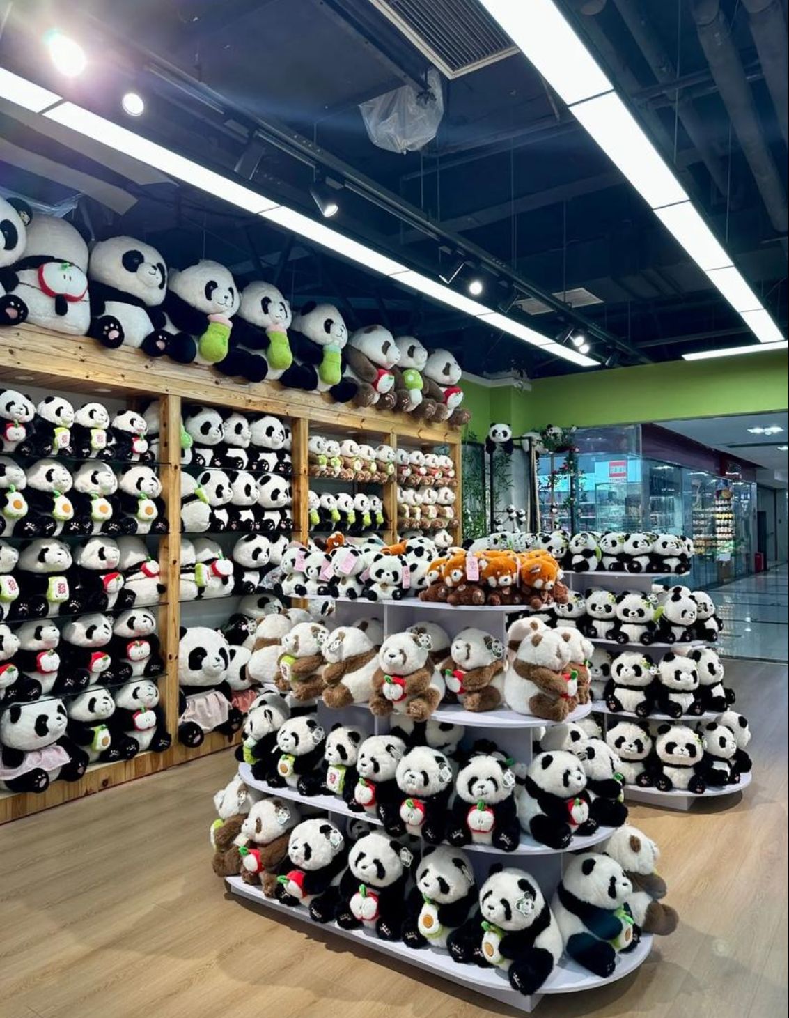 新重庆朝天门玩具批发城A区(东方针织内衣城店)