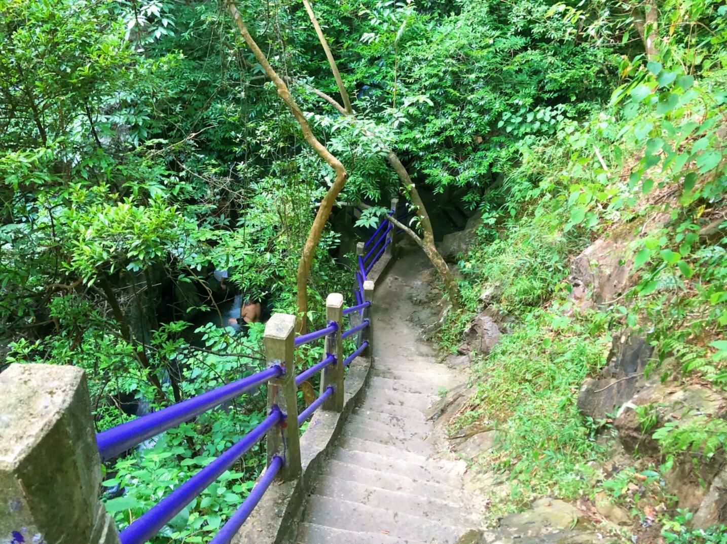 龙潭芳香南山旅行图片 2