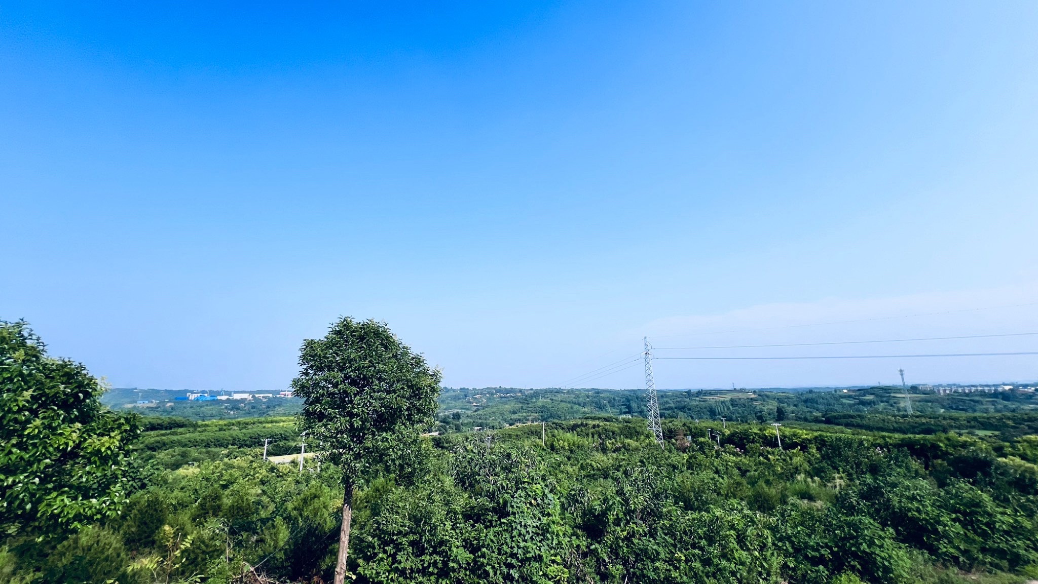 大河田园3号观景台旅行图片 1