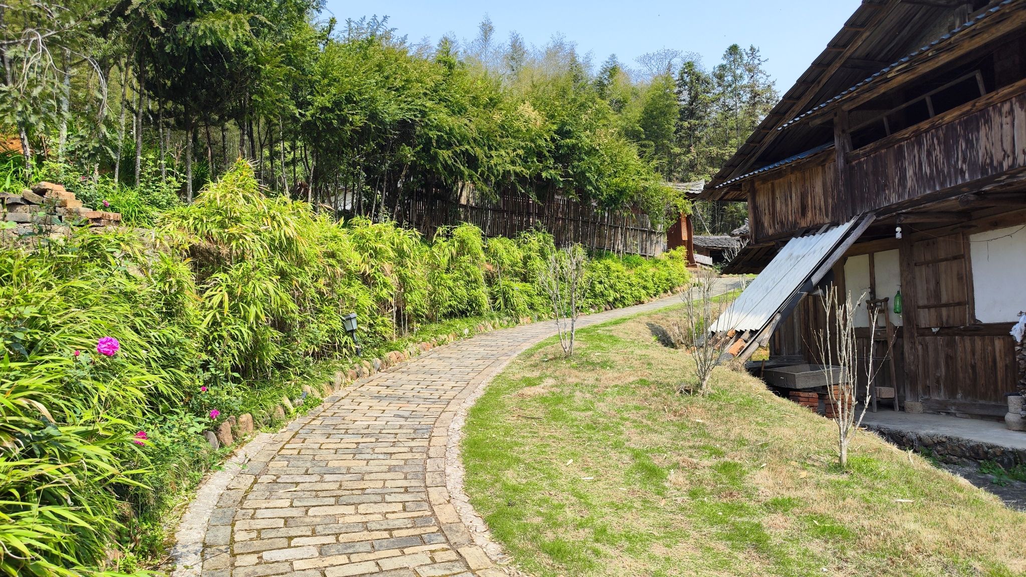 圆初生态村(定地)旅行图片 1
