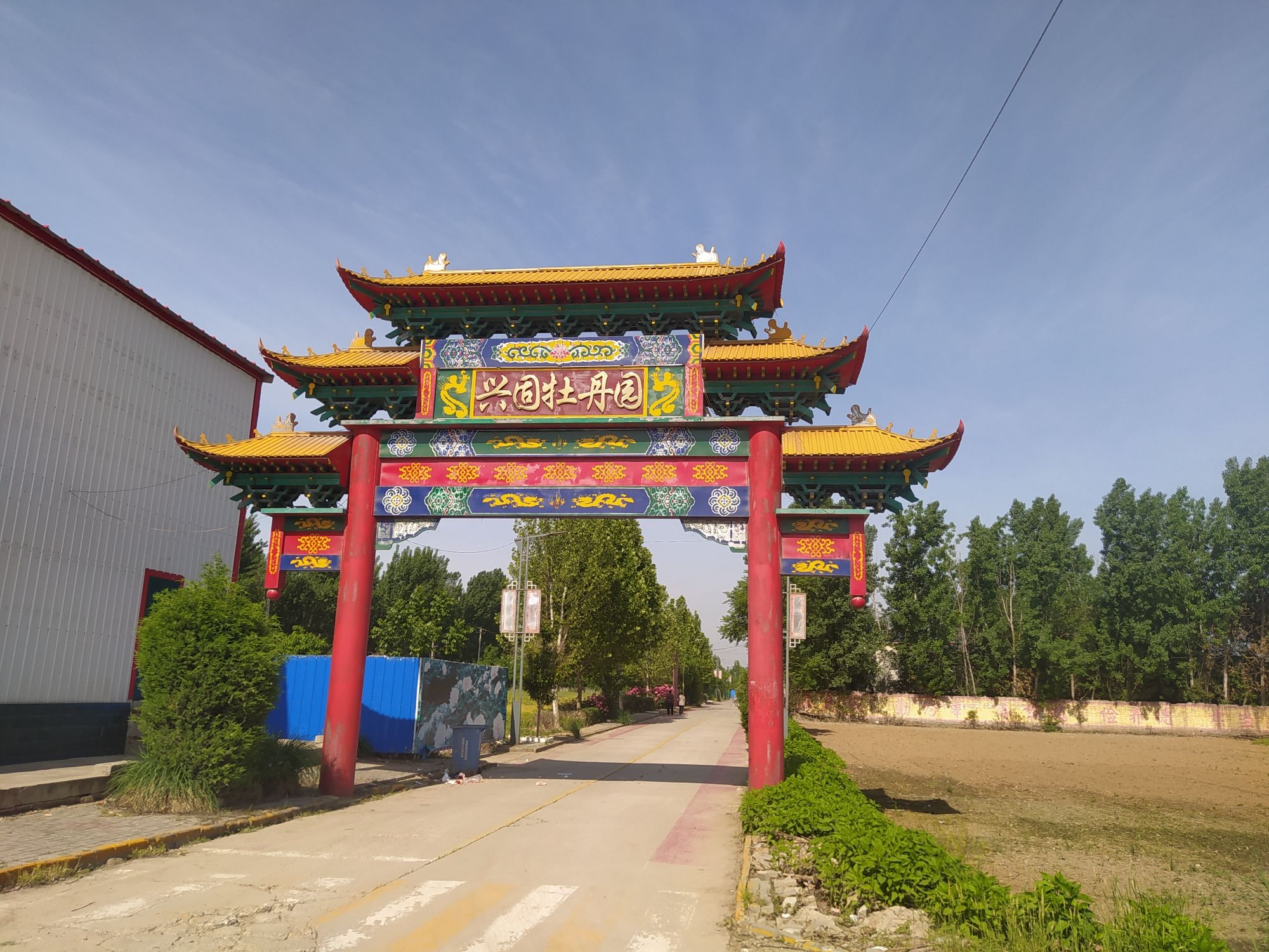 兴固牡丹园旅行图片 1