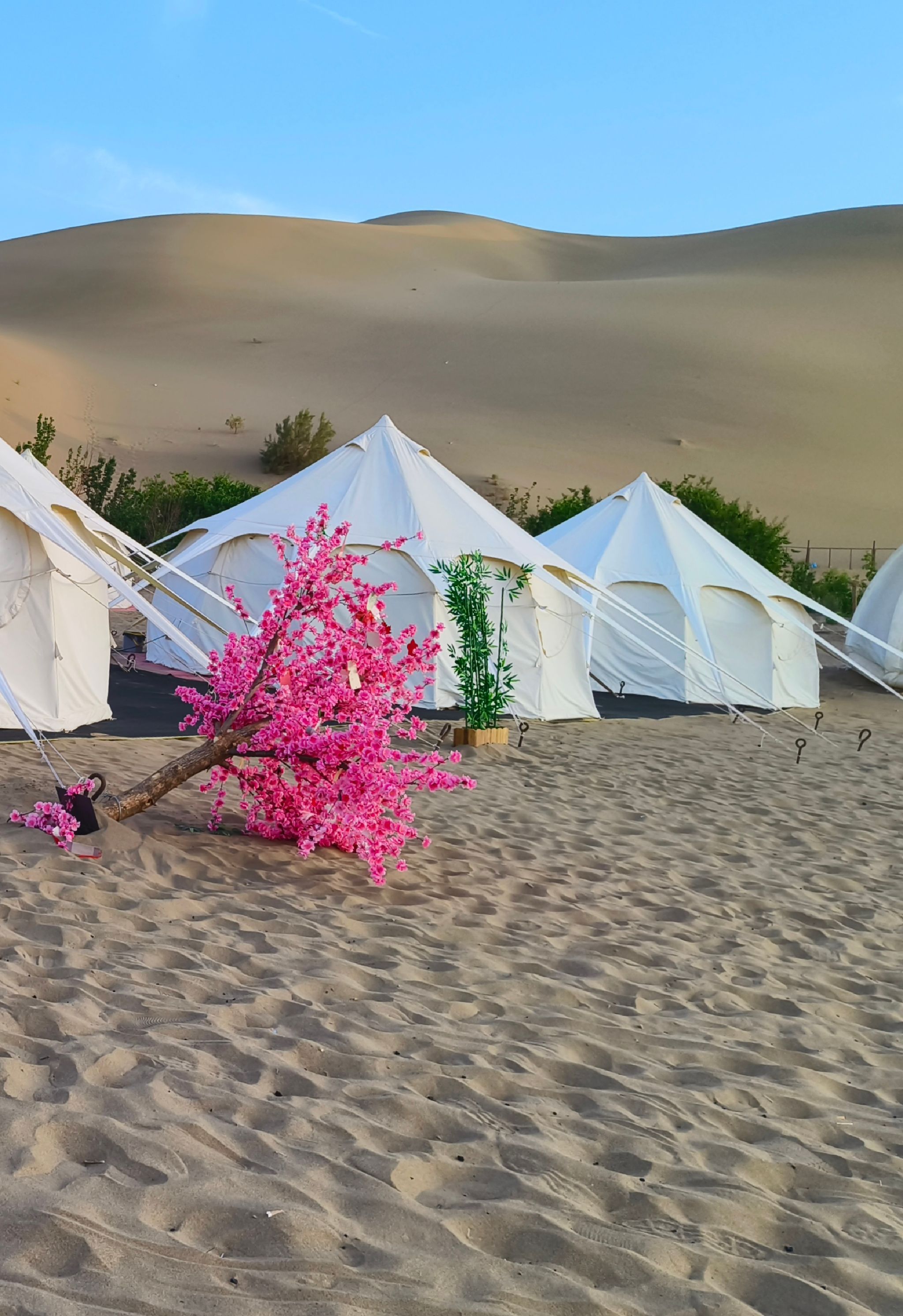 敦煌目标露营基地