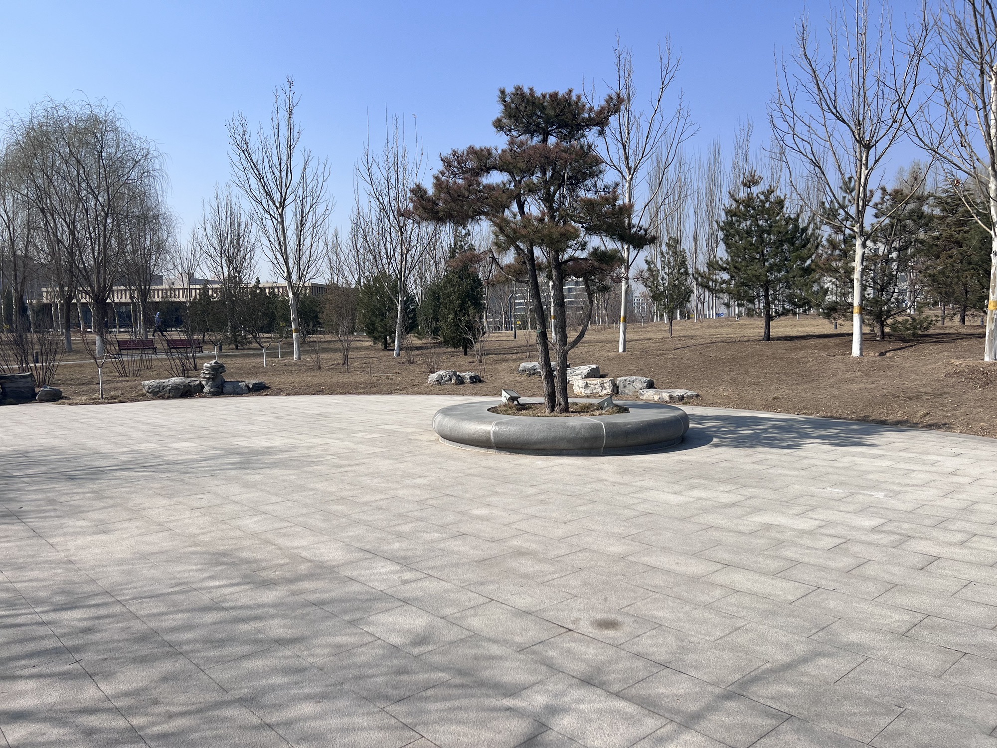 兴旺公园旅行图片 2
