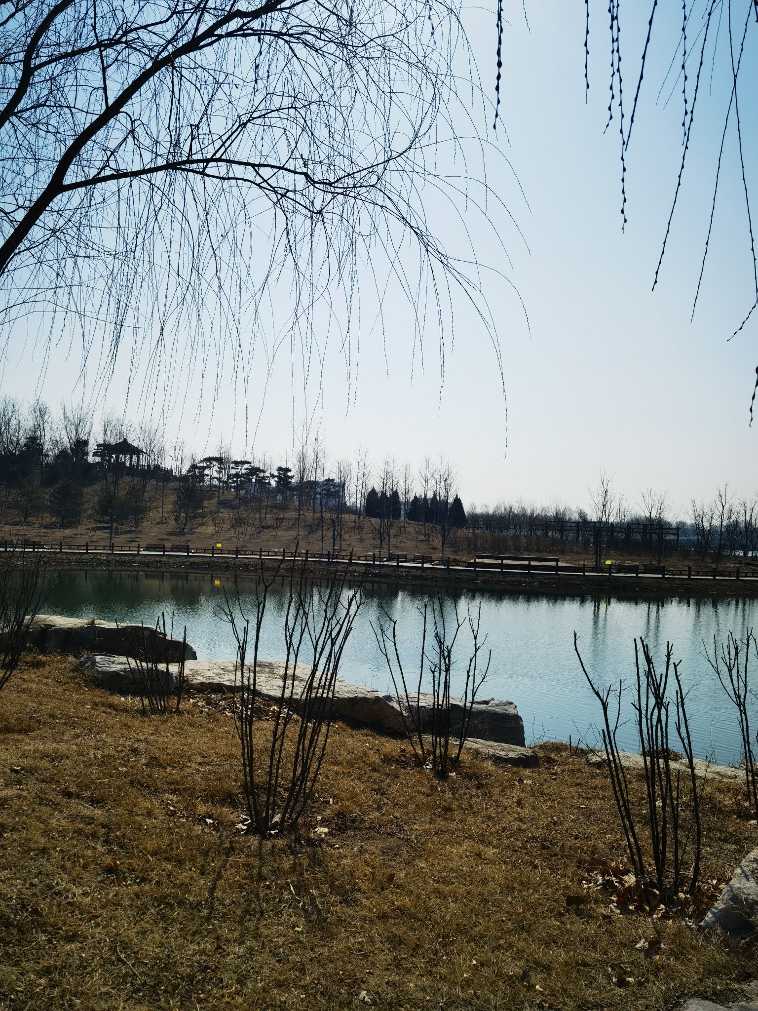 兴旺公园旅行图片 3