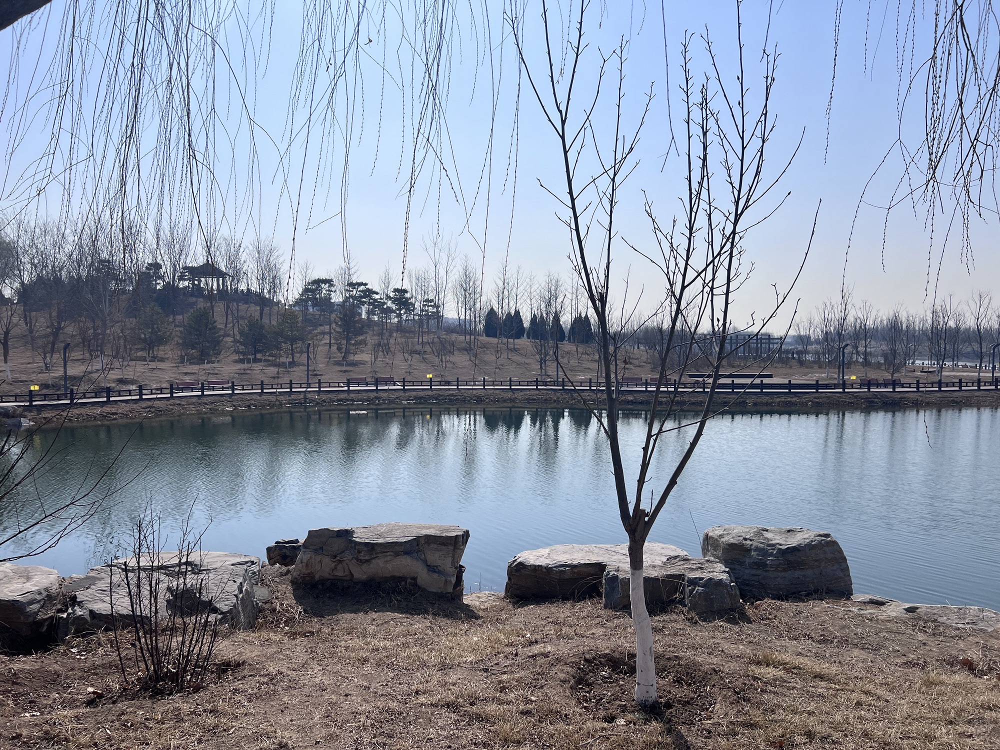 兴旺公园旅行图片 1