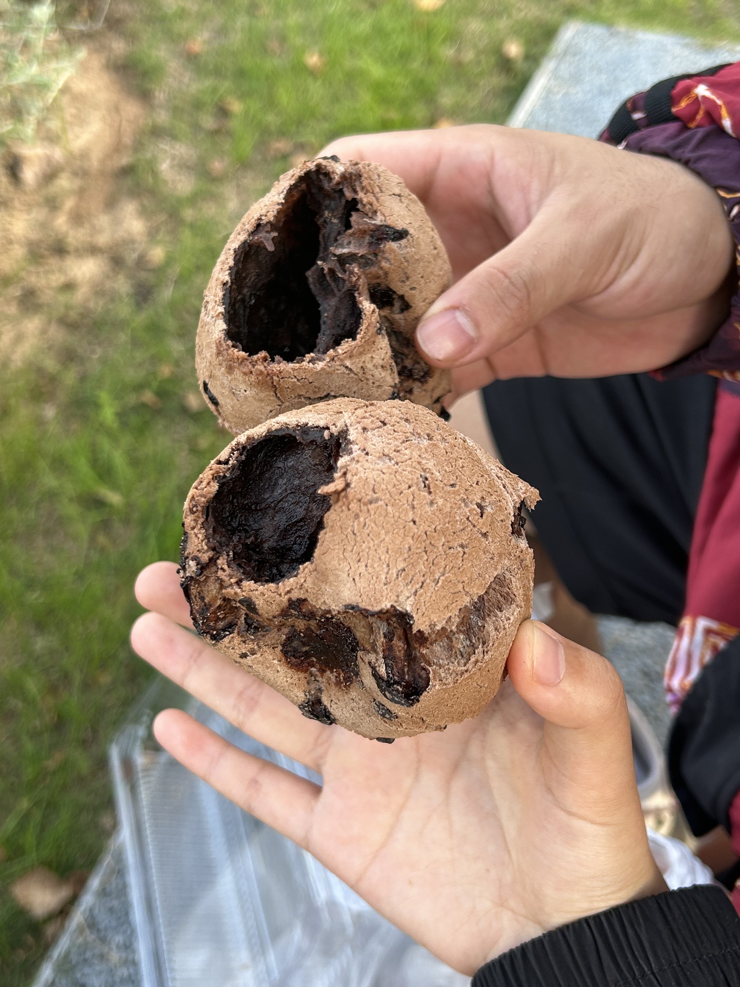 桃湖公园旅行图片 3