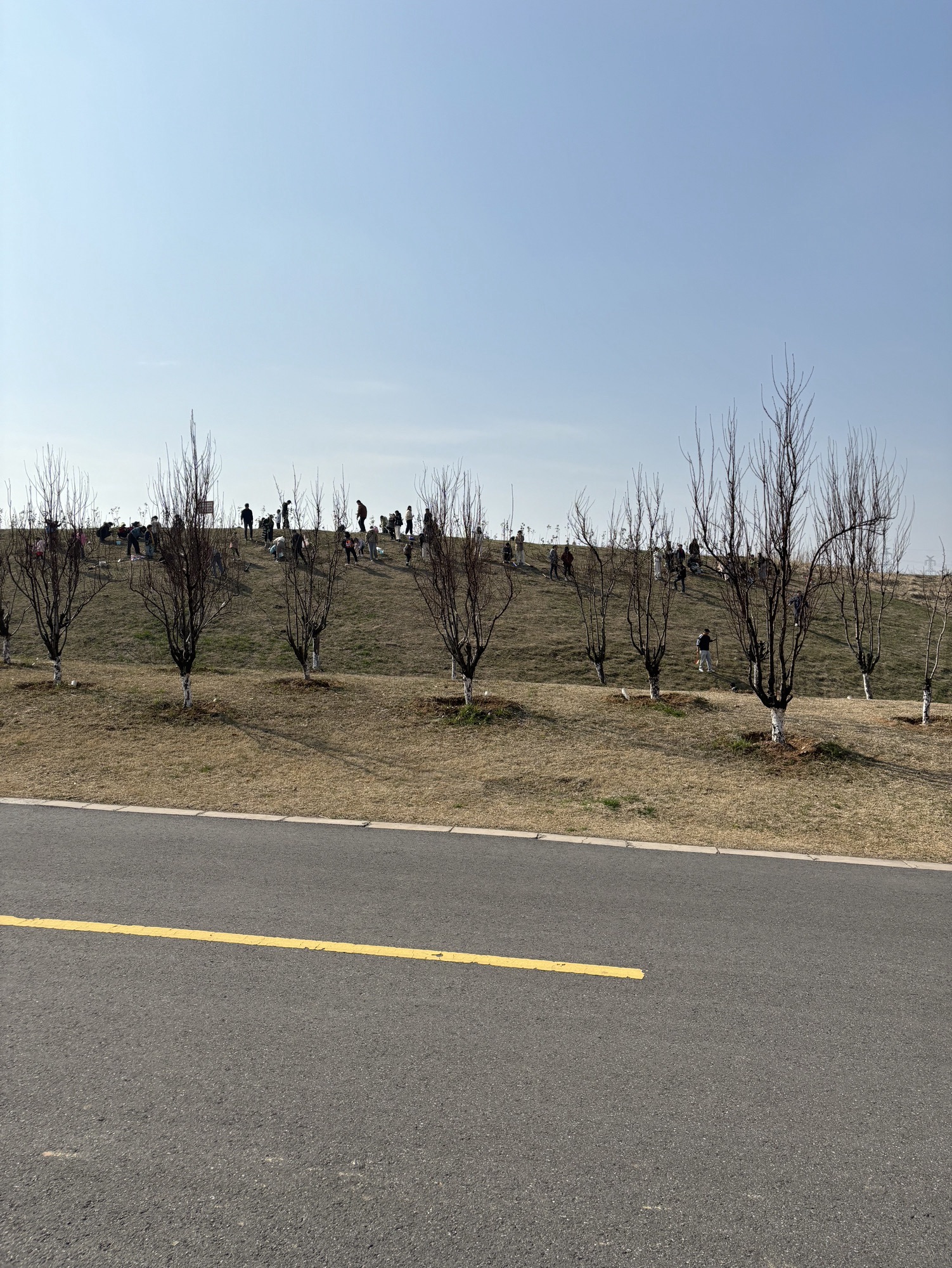 桃湖公园旅行图片 3
