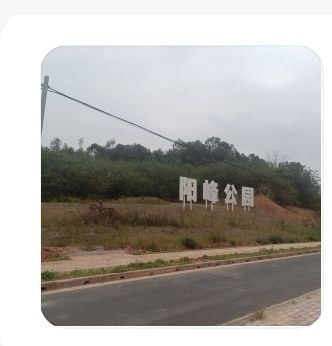 阳峰公园旅行图片 1