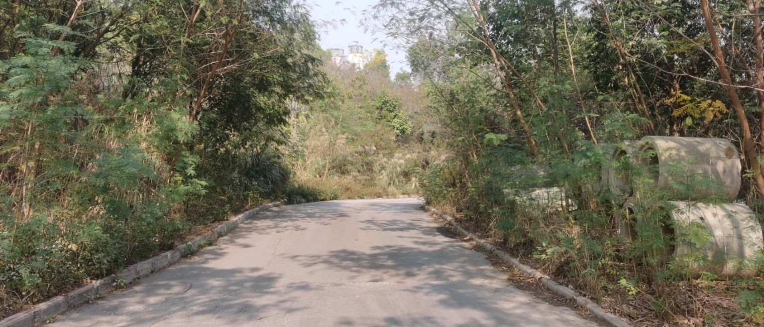 阳峰公园旅行图片 1
