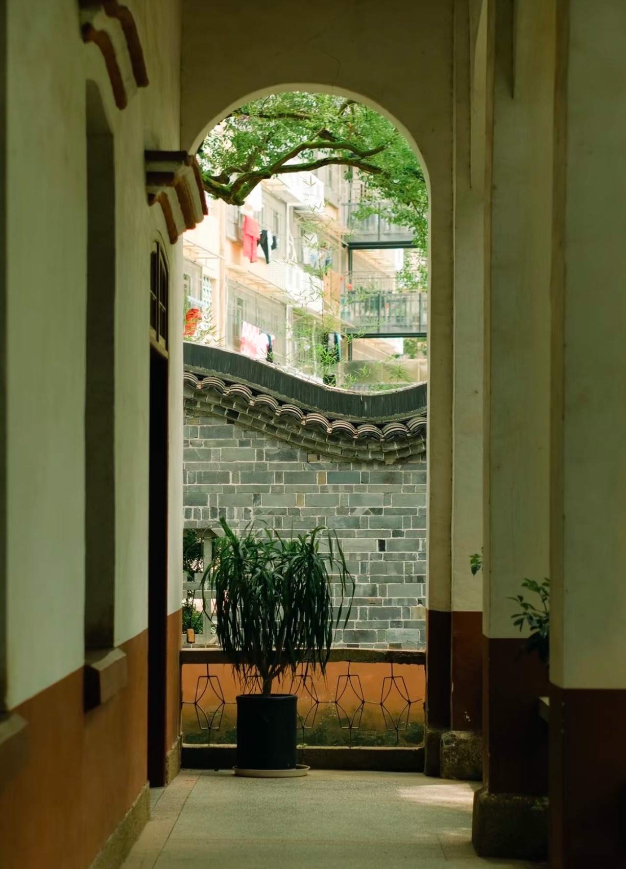 樟树林公园旅行图片 3