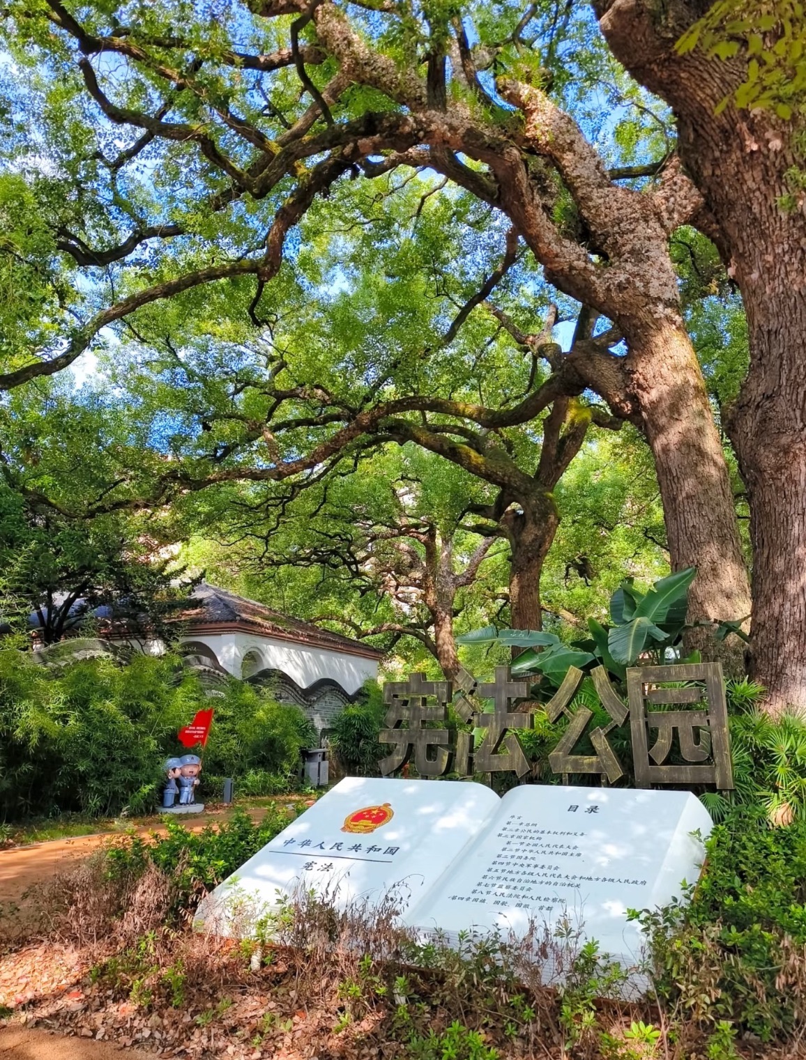 樟树林公园旅行图片 2