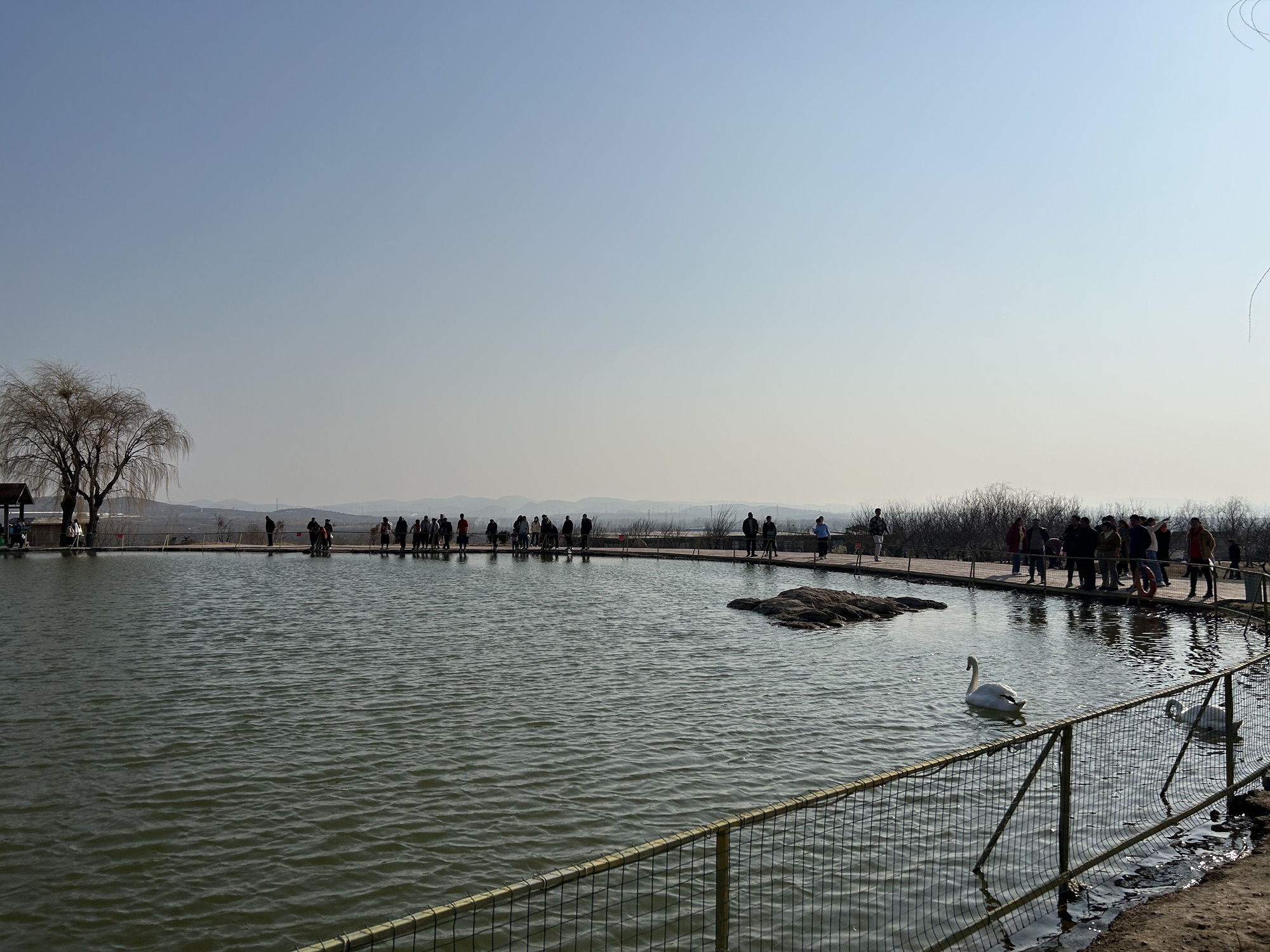 潮泉天鹅湖旅行图片 3