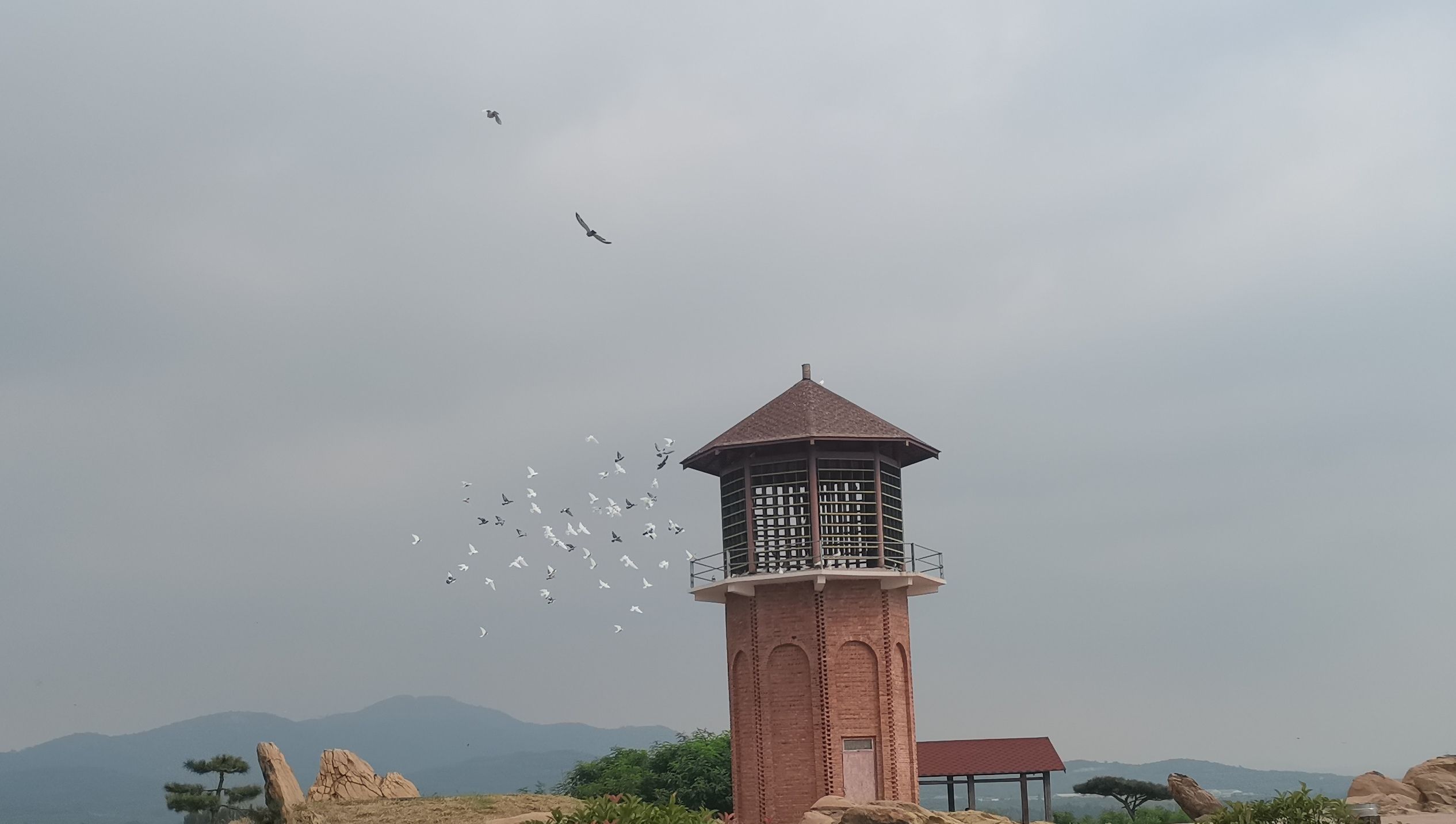 潮泉天鹅湖旅行图片 3