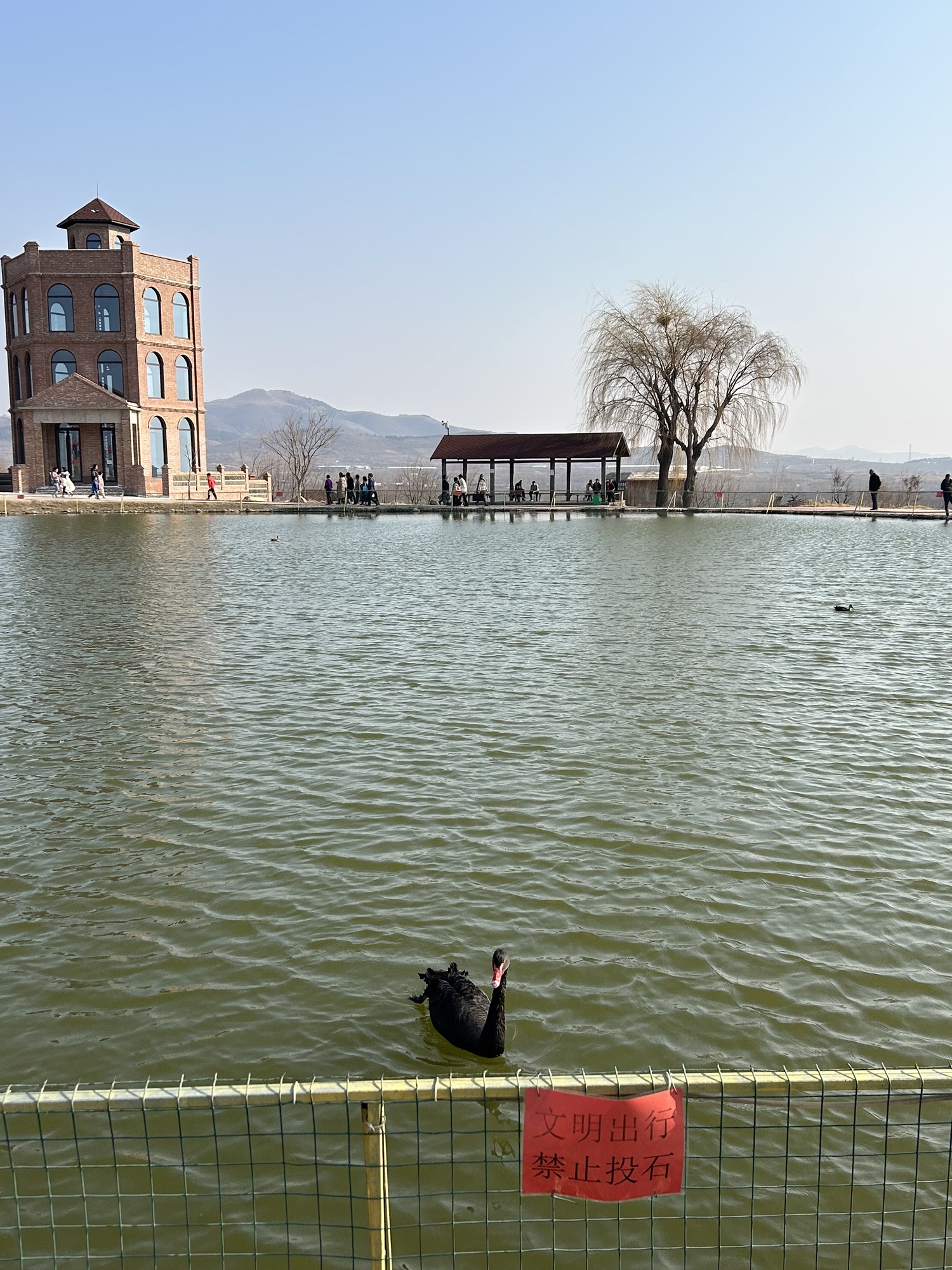 潮泉天鹅湖旅行图片 1