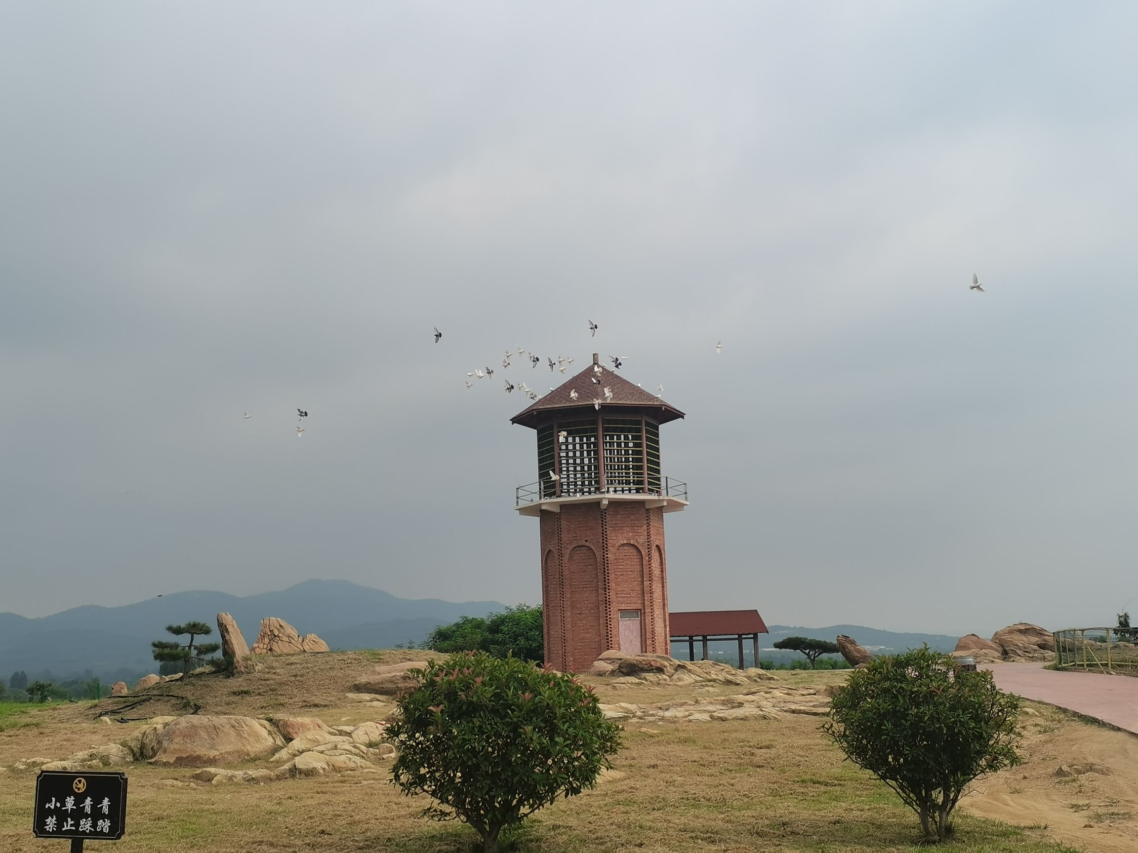 潮泉天鹅湖旅行图片 1