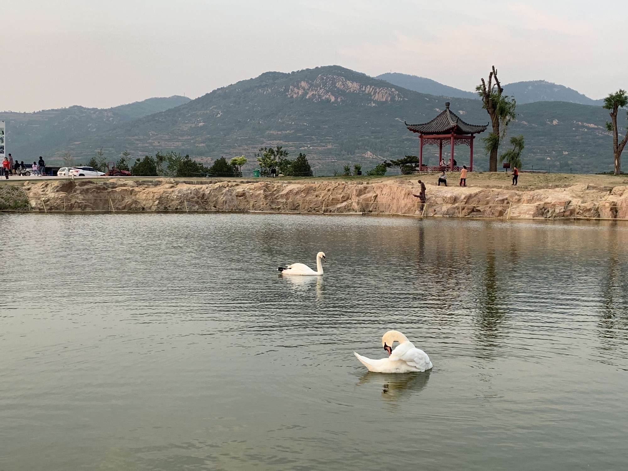 潮泉天鹅湖旅行图片 3