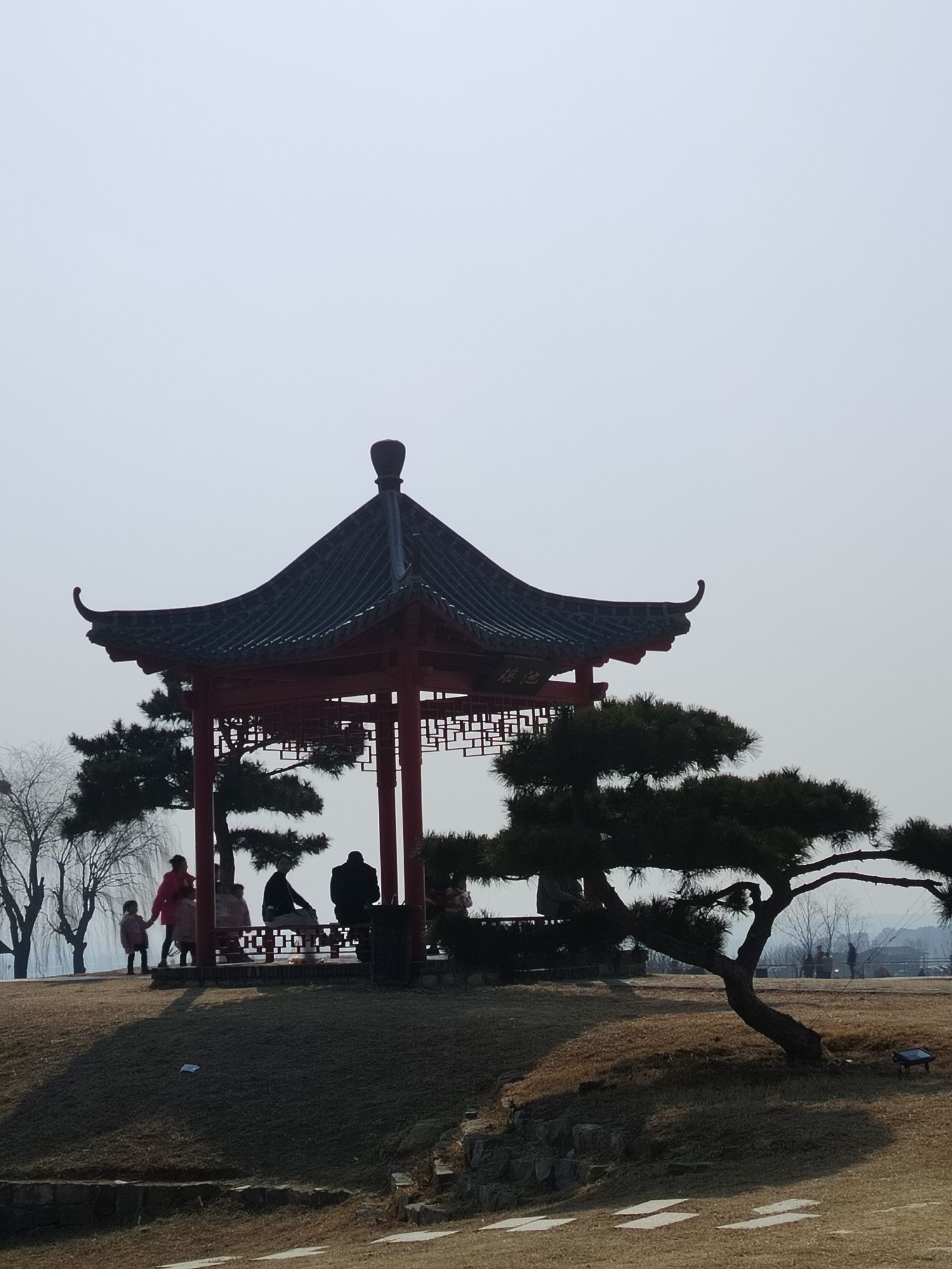 潮泉天鹅湖旅行图片 1