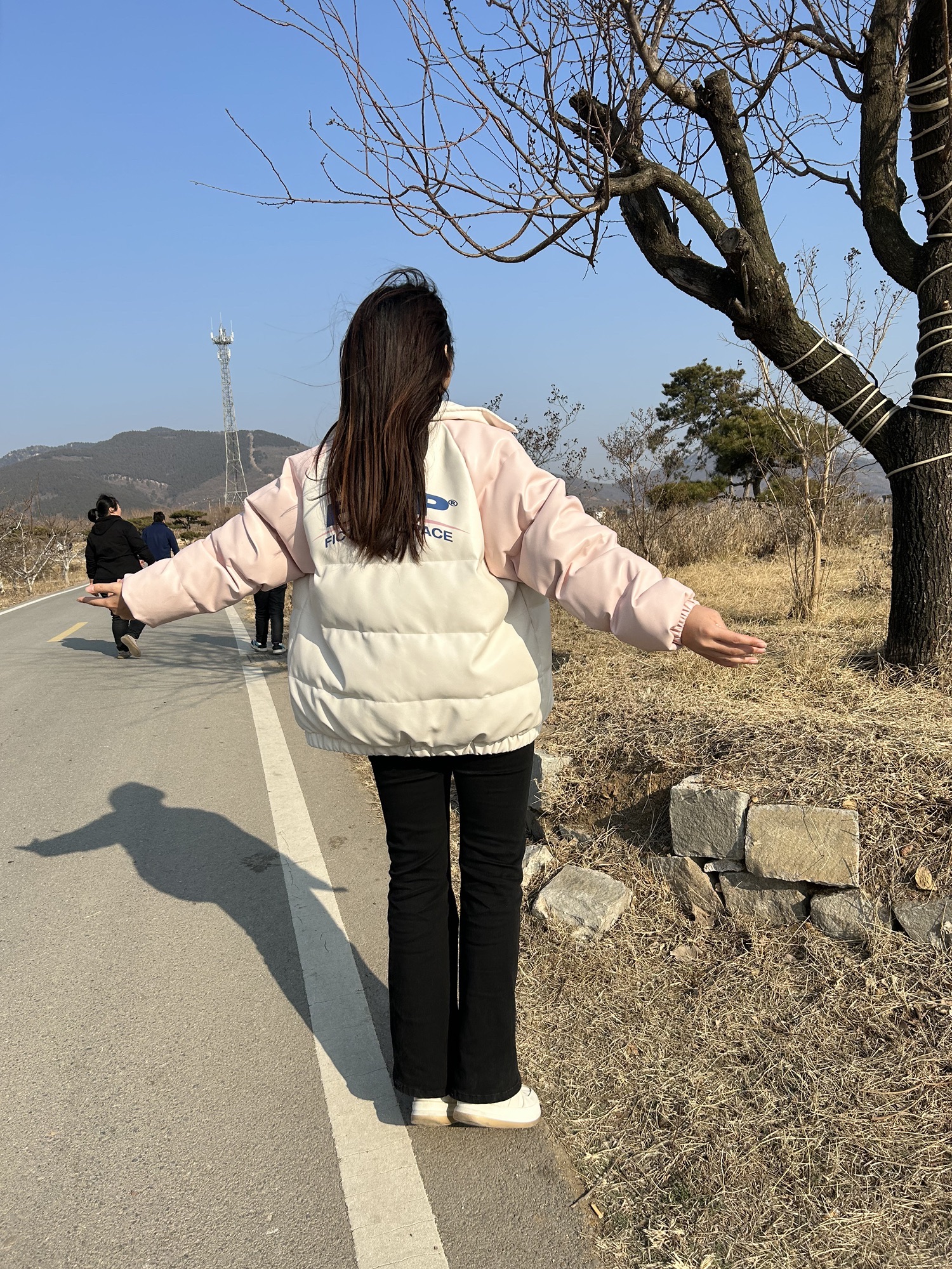 潮泉天鹅湖旅行图片 2