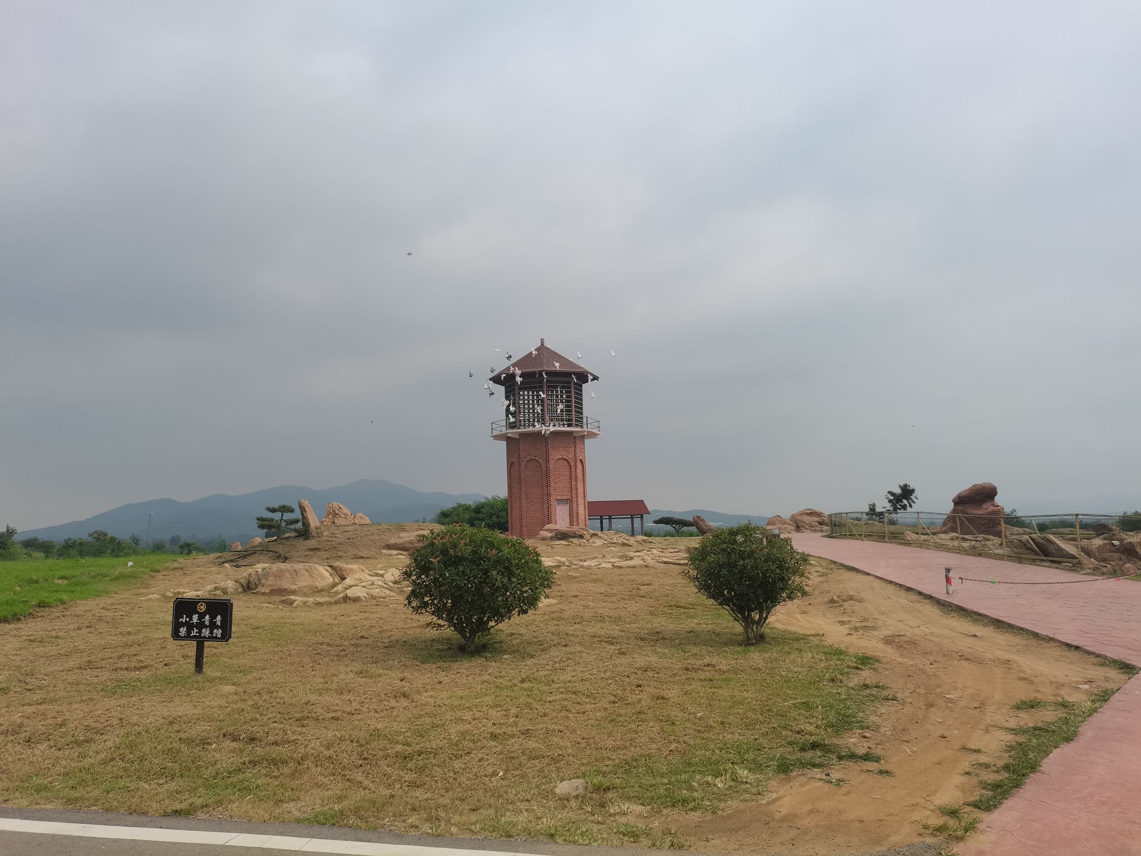潮泉天鹅湖旅行图片 2
