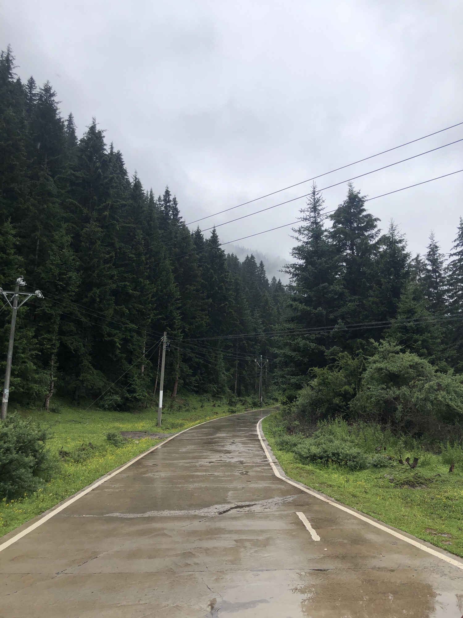 若尔盖大草原自然区旅行图片 1