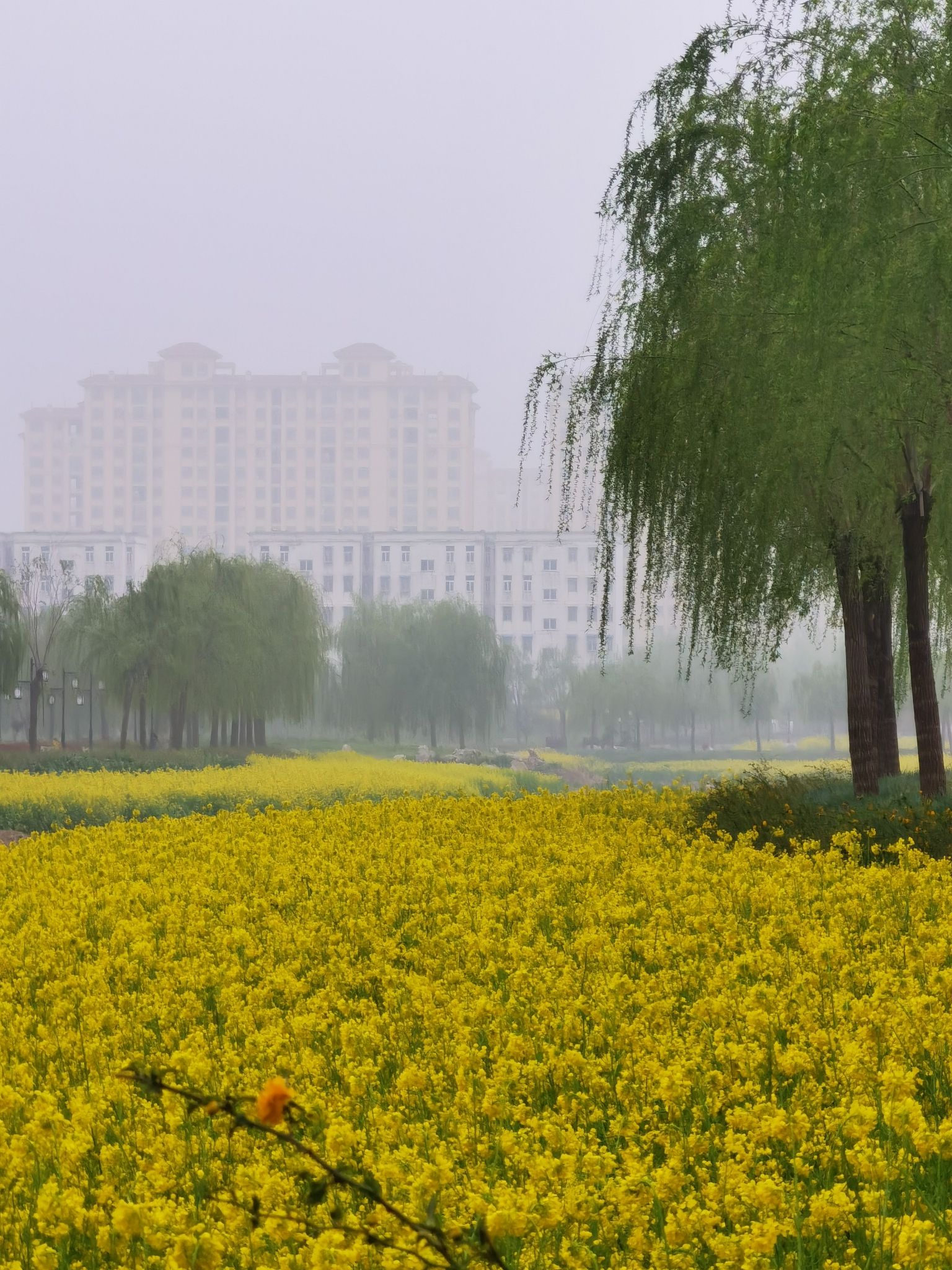 塔园公园旅行图片 2