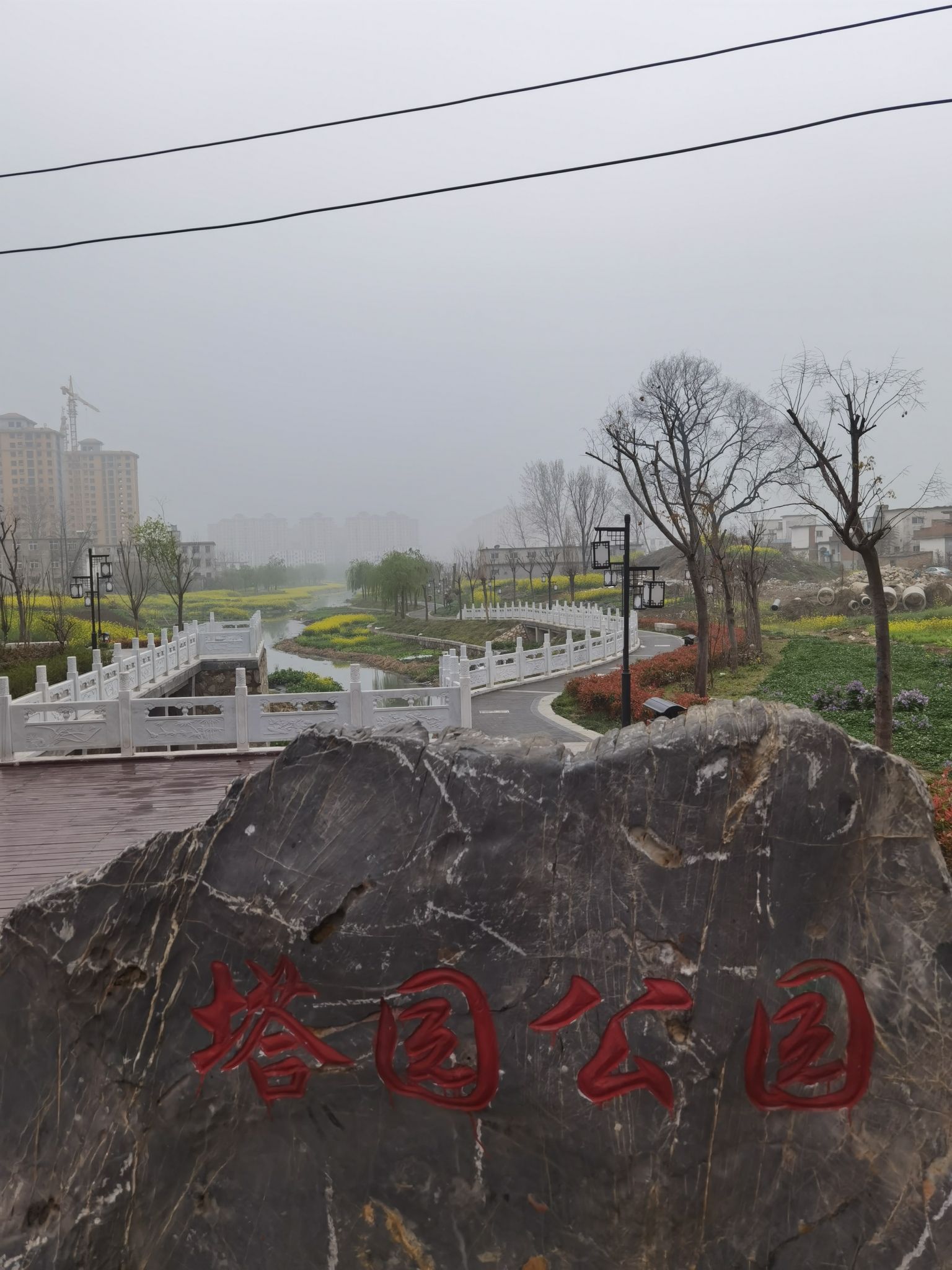 塔园公园旅行图片 1