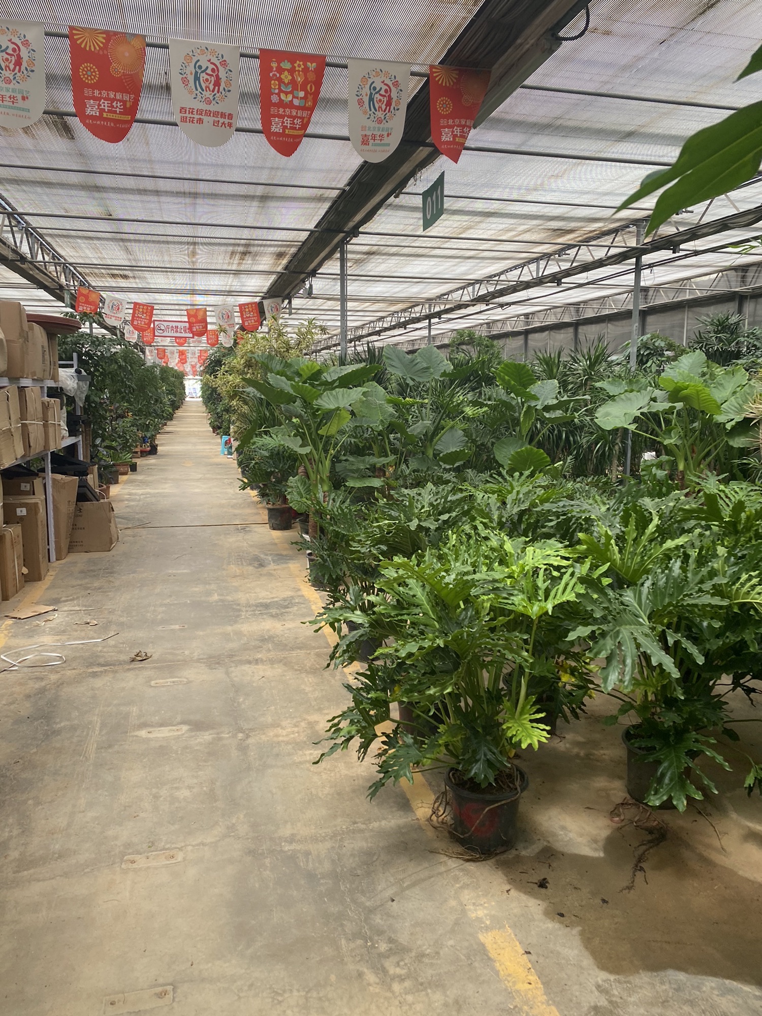 绿植花卉集散分拔中心